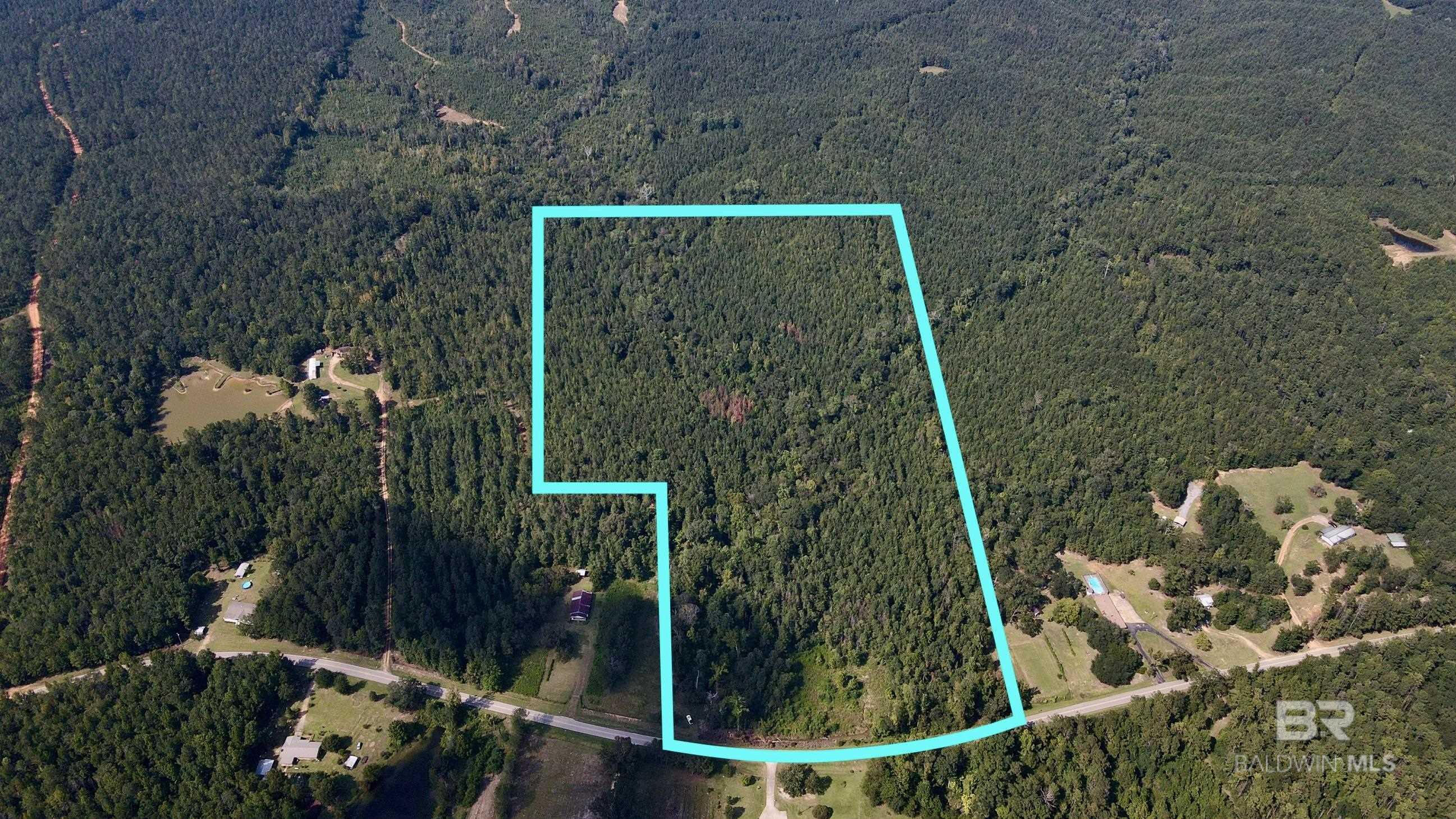 Homes for sale in Thomasville, AL | 13850 Tallahatta Springs Road, Thomasville, AL 36784 | MLS# 384990