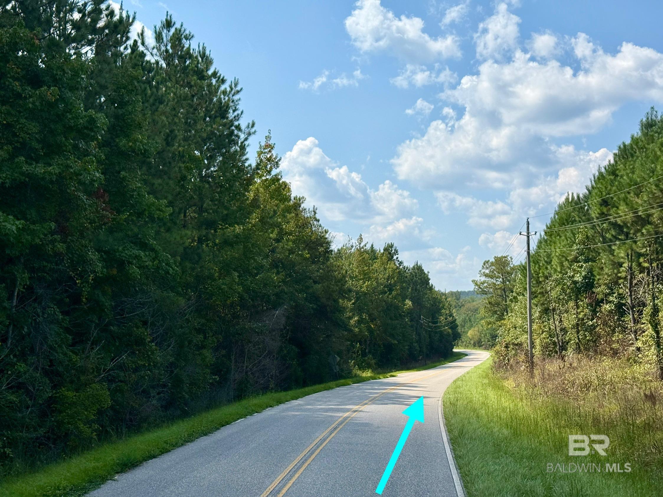 Homes for sale in Thomasville, AL | 13850 Tallahatta Springs Road, Thomasville, AL 36784 | MLS# 384990