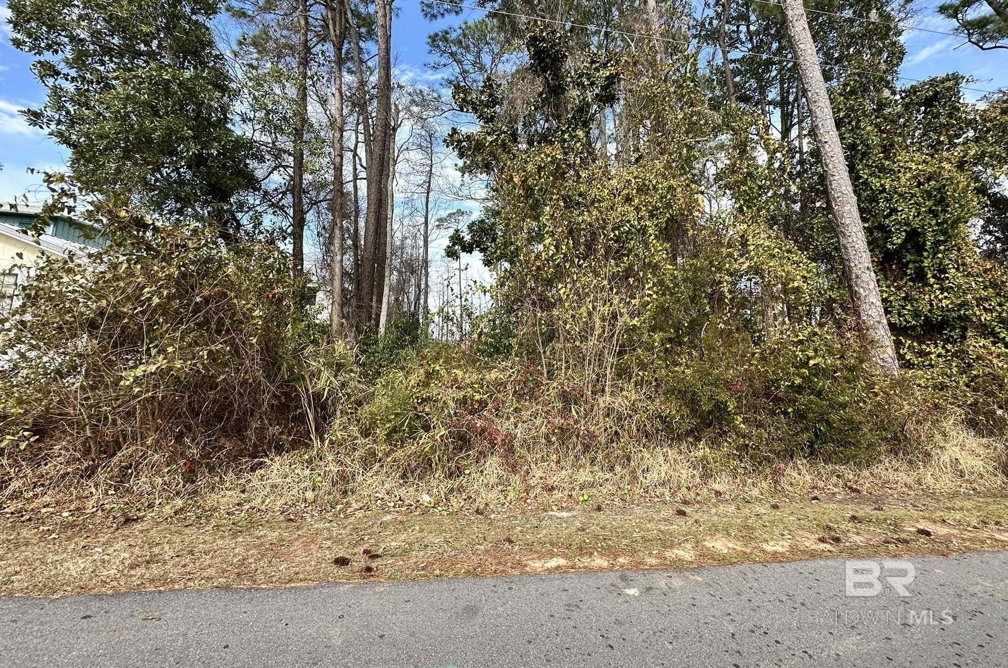 25827 W Perdido Avenue, Orange Beach, AL, 36561