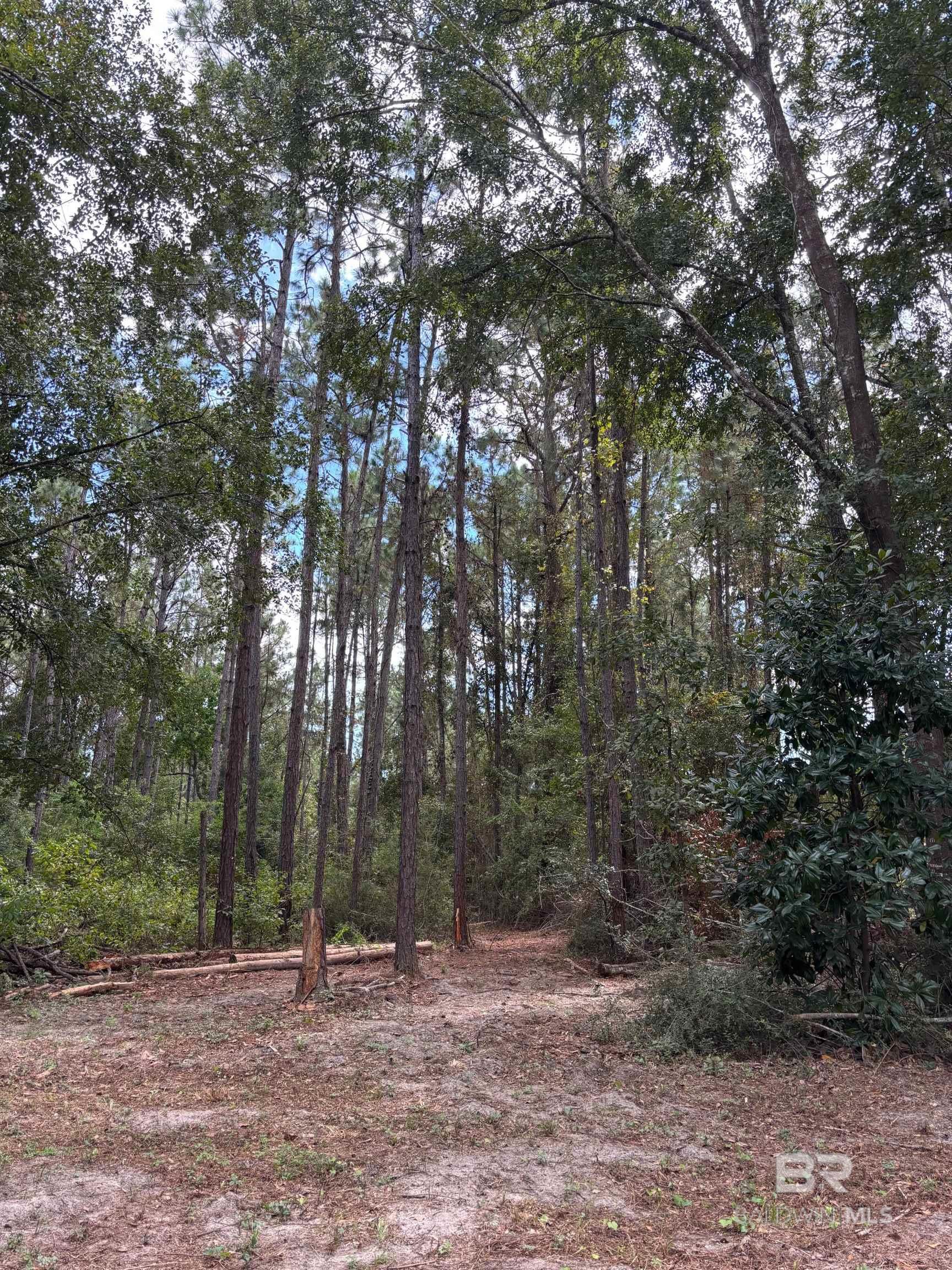 23790 S County Road 12, Foley, AL, 36535