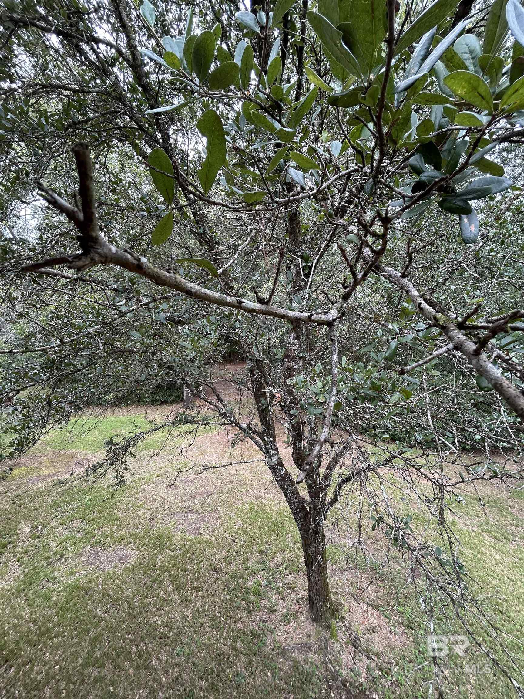 https://zimg.paragon.ice.com/ParagonImages/Property/PG/BCAR/385983/30/0/0/fbfaa9c8098d326cc05c0f600e4a9aaa/7/0b14dd1dcad678725bec9f368e2618c8/385983-486ce5a4-b3a1-46d5-ac9e-22694106a045.JPG