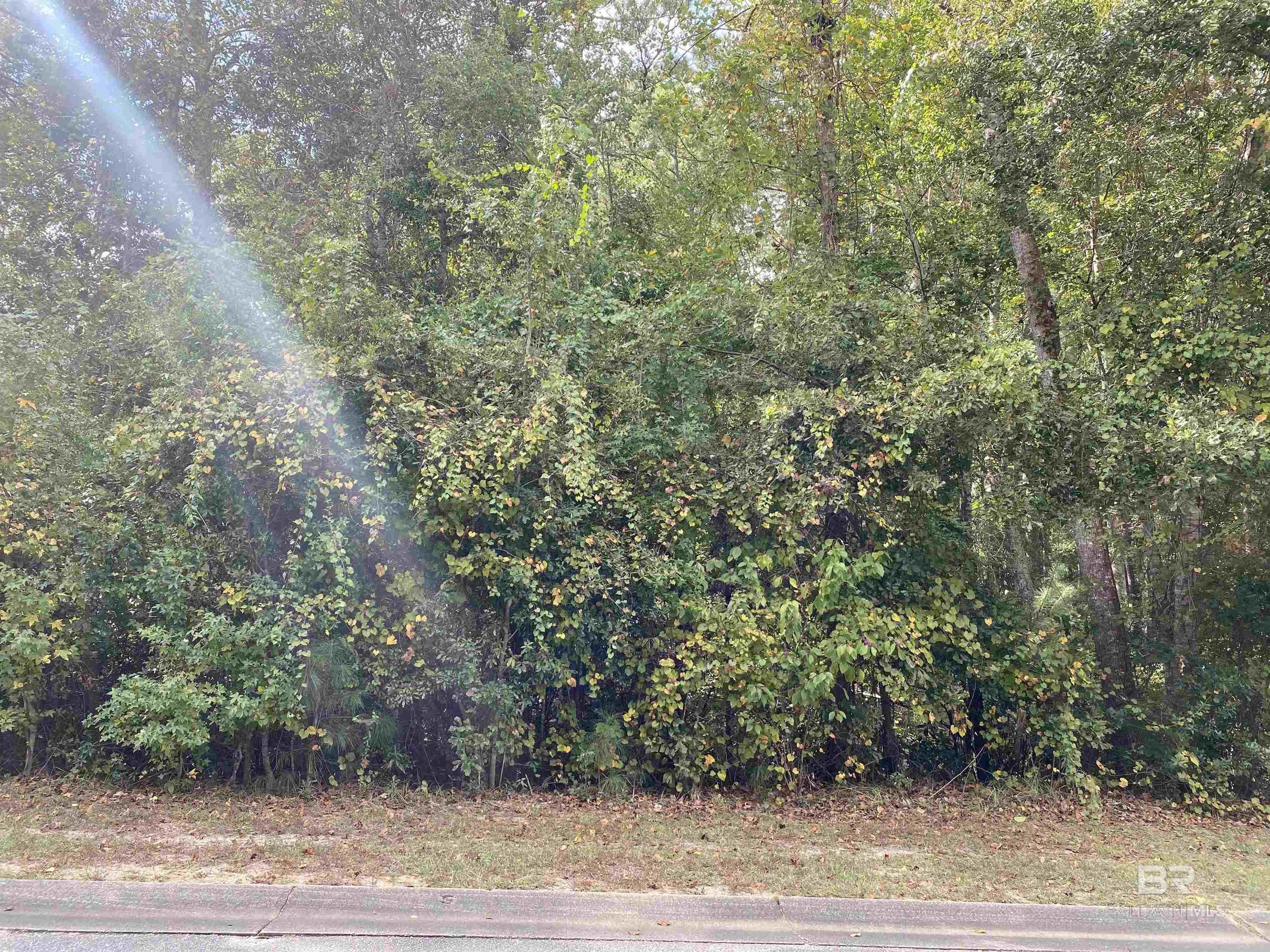 62 Saddlewood Lane, Fairhope, AL, 36532