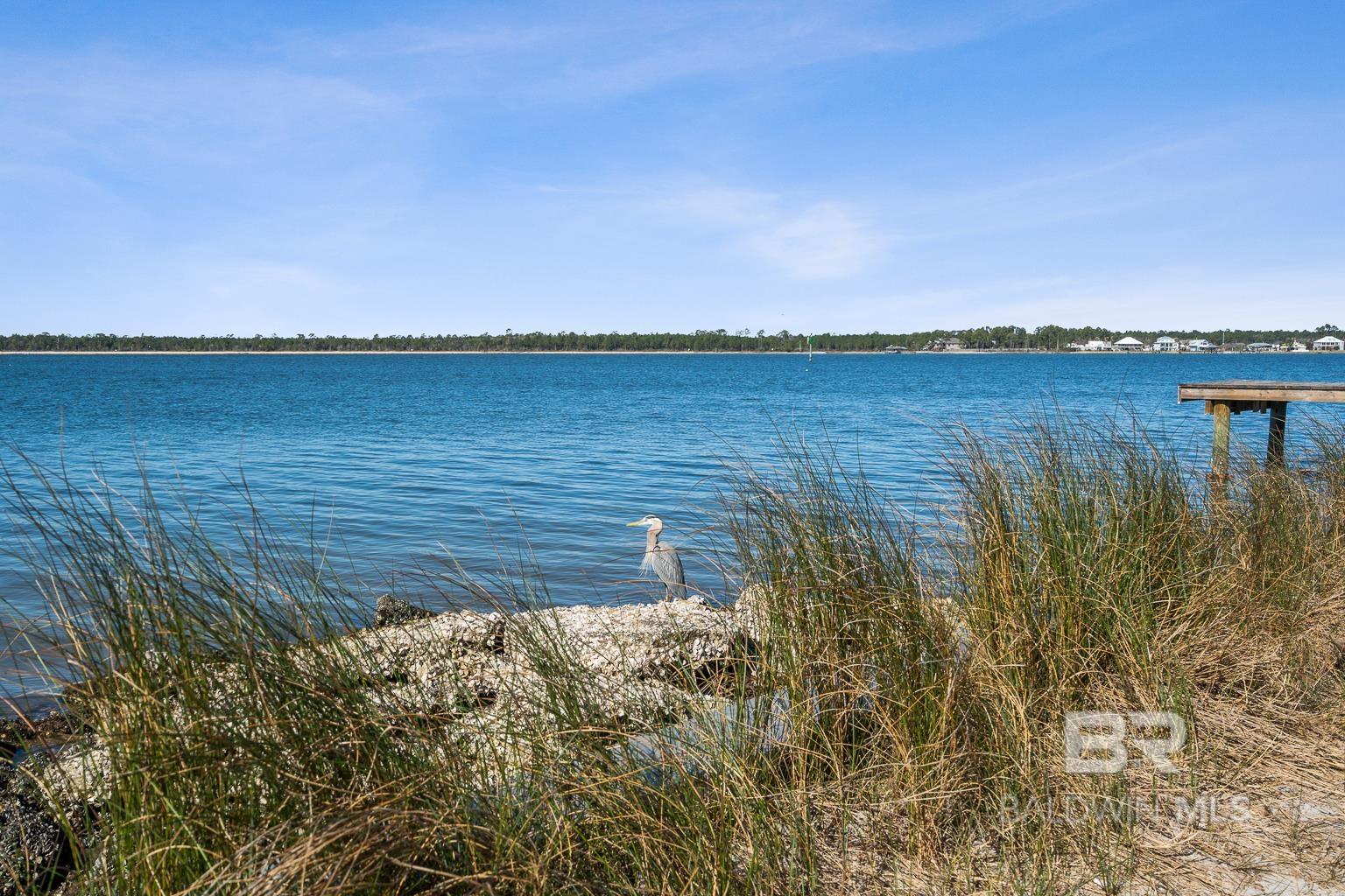 Orange Beach, AL, 36561