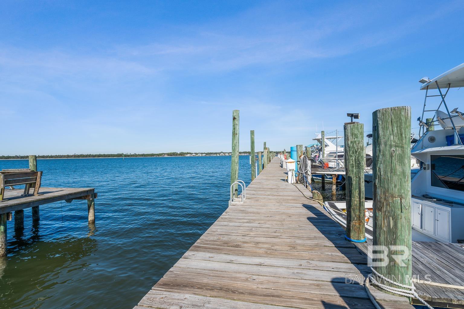 Orange Beach, AL, 36561