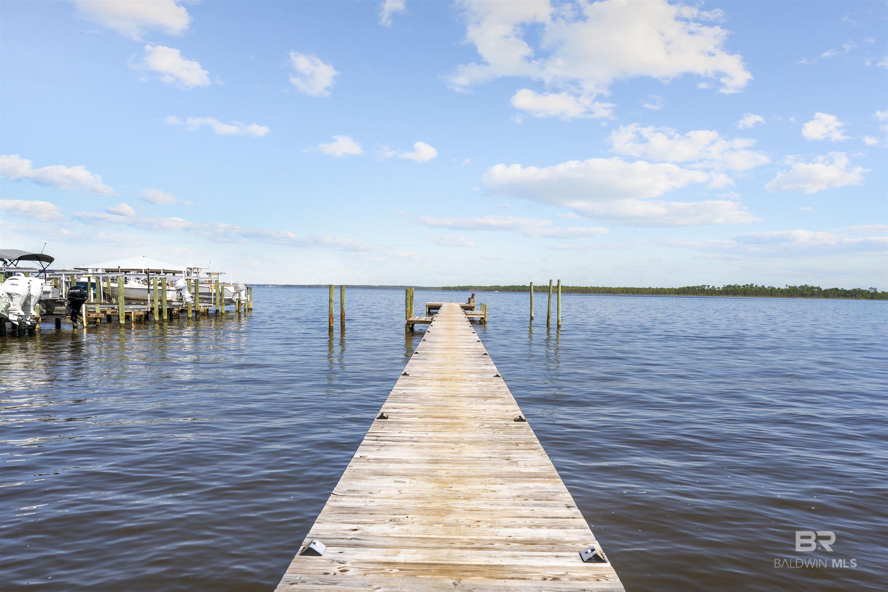  UNIT 205, Orange Beach, AL, 36561