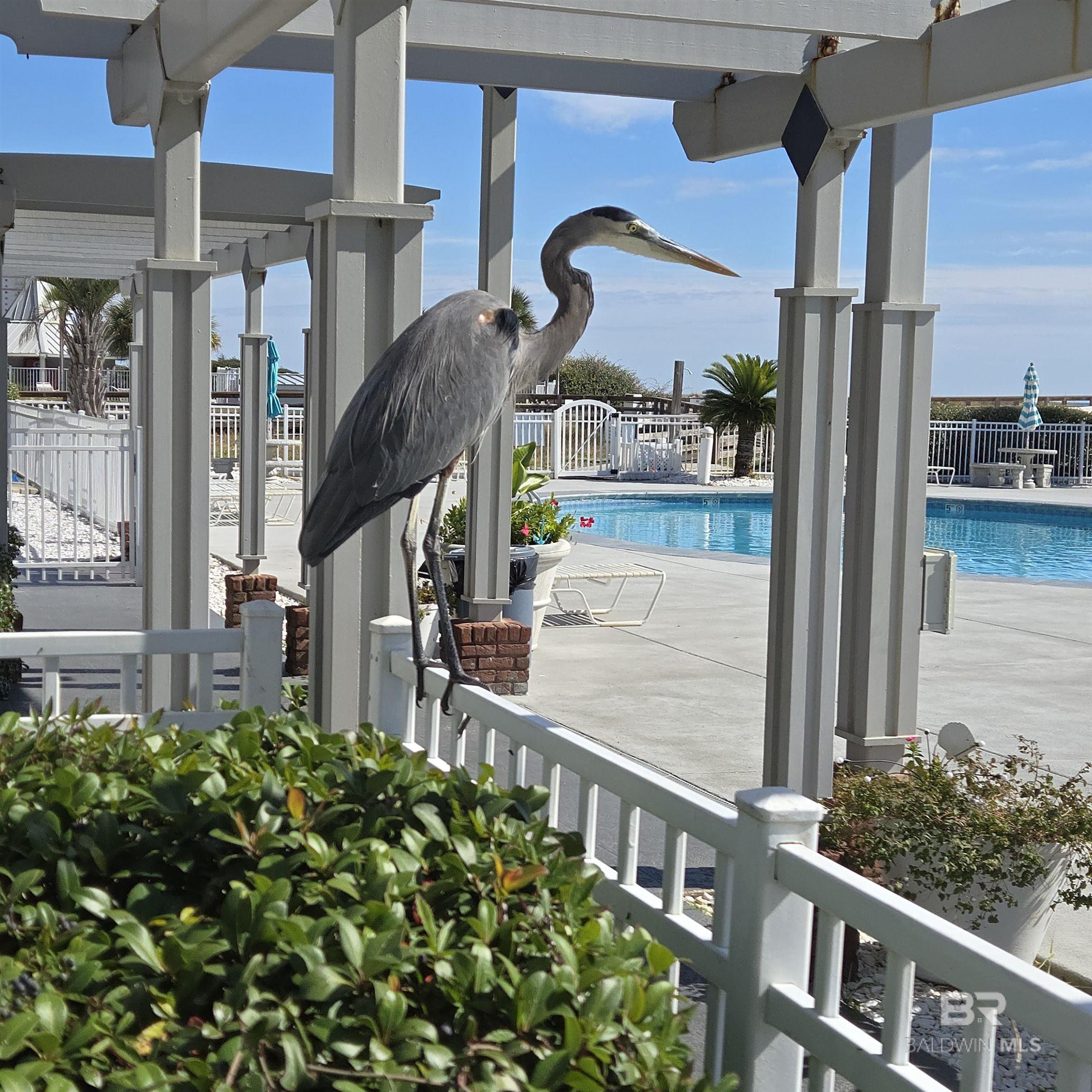  UNIT 3114, Gulf Shores, AL, 36542-8138