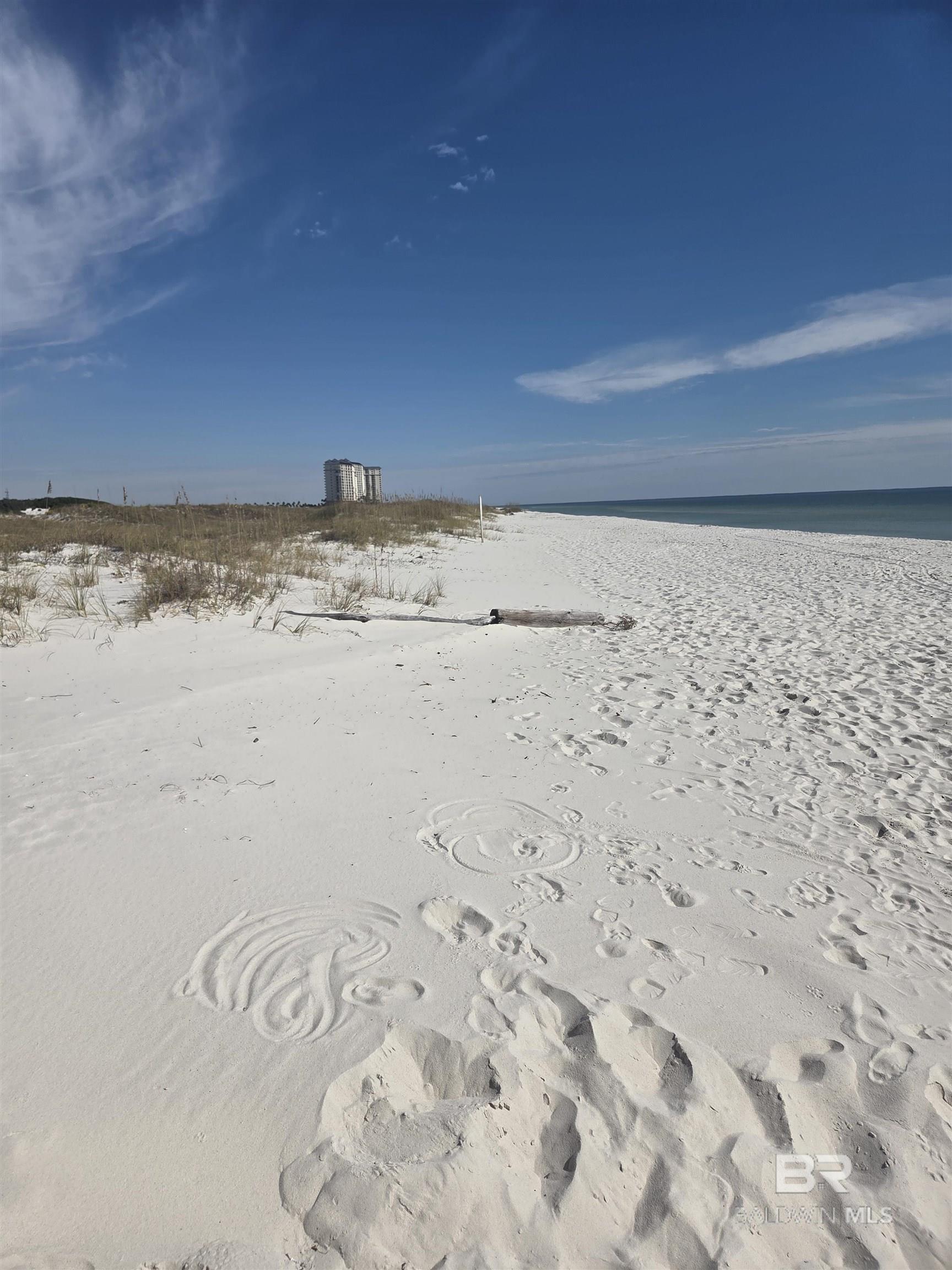  UNIT 3114, Gulf Shores, AL, 36542-8138