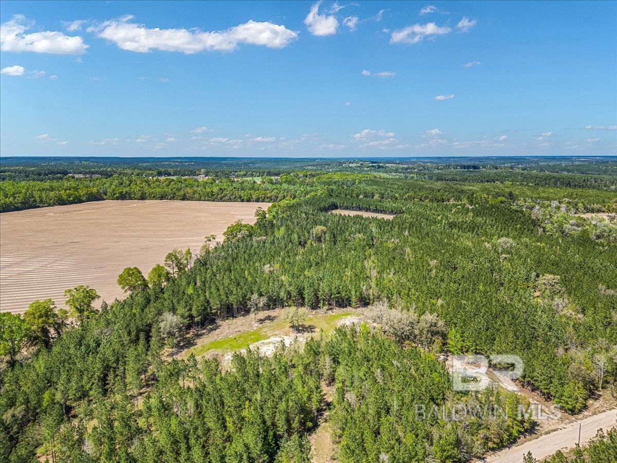 22544 Lechner Road, Robertsdale, AL, 36567