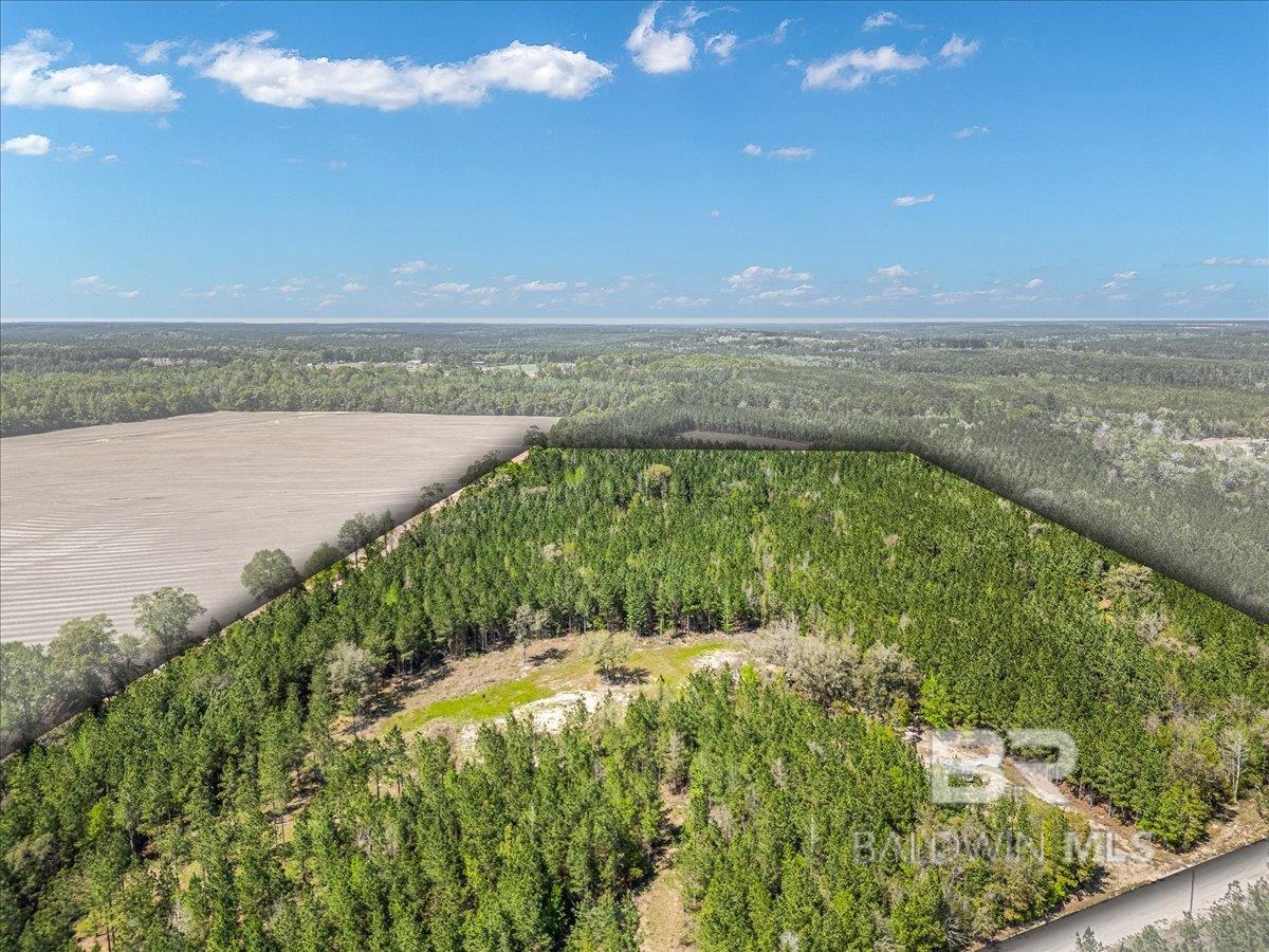 22544 Lechner Road, Robertsdale, AL, 36567