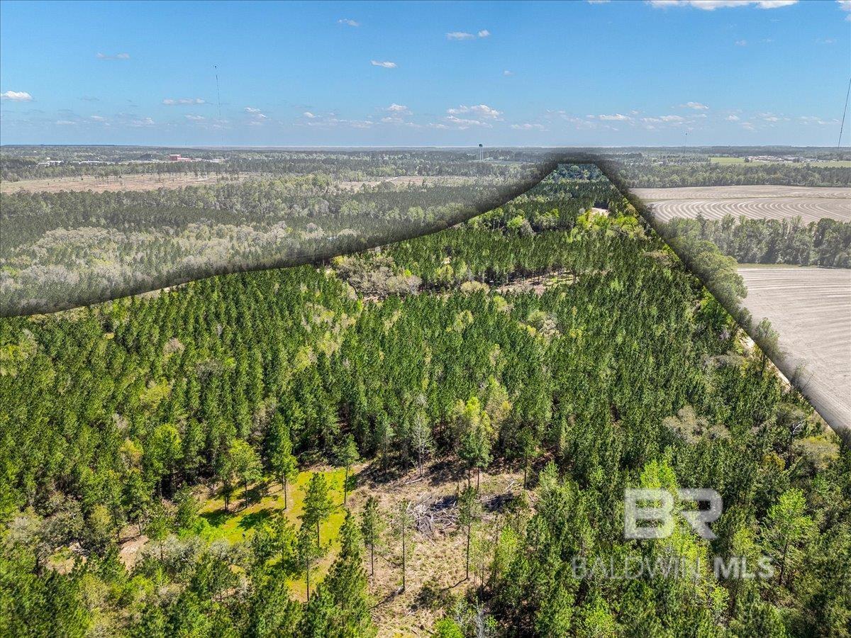 22544 Lechner Road, Robertsdale, AL, 36567