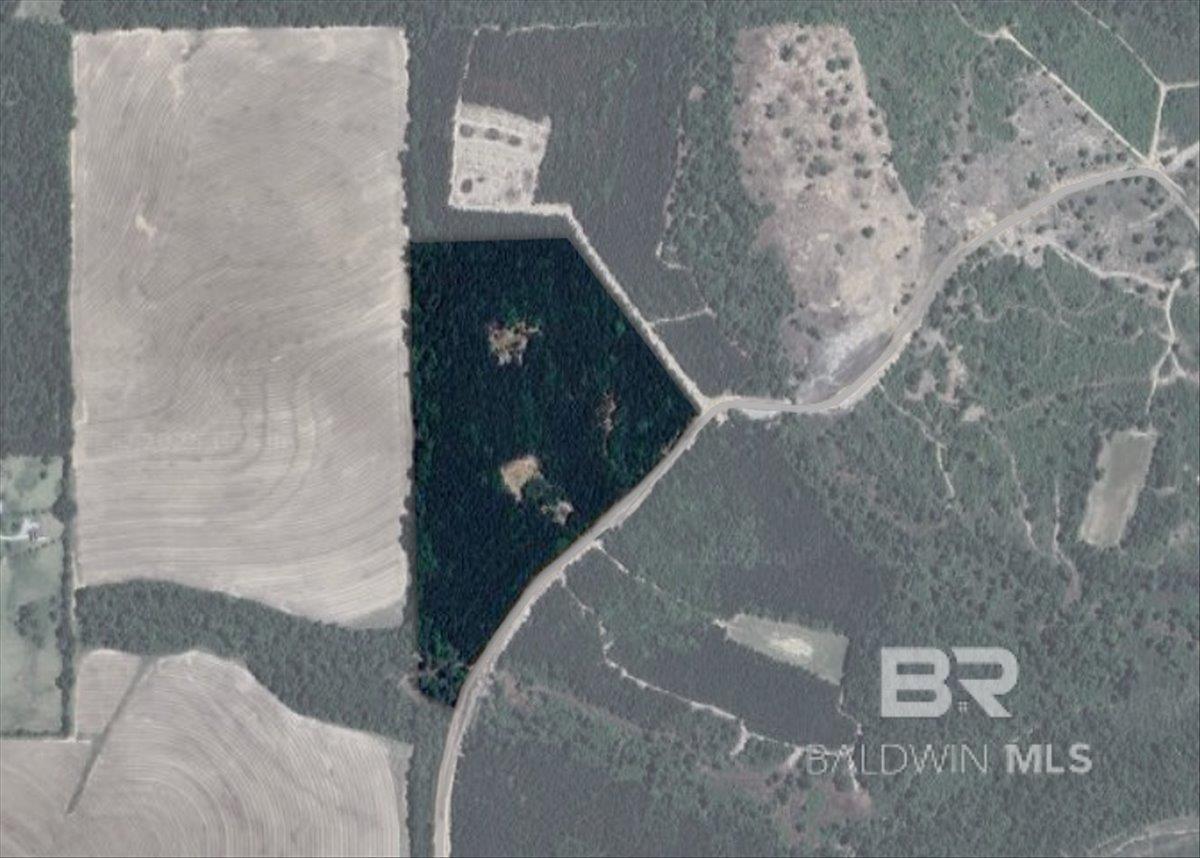 22544 Lechner Road, Robertsdale, AL, 36567