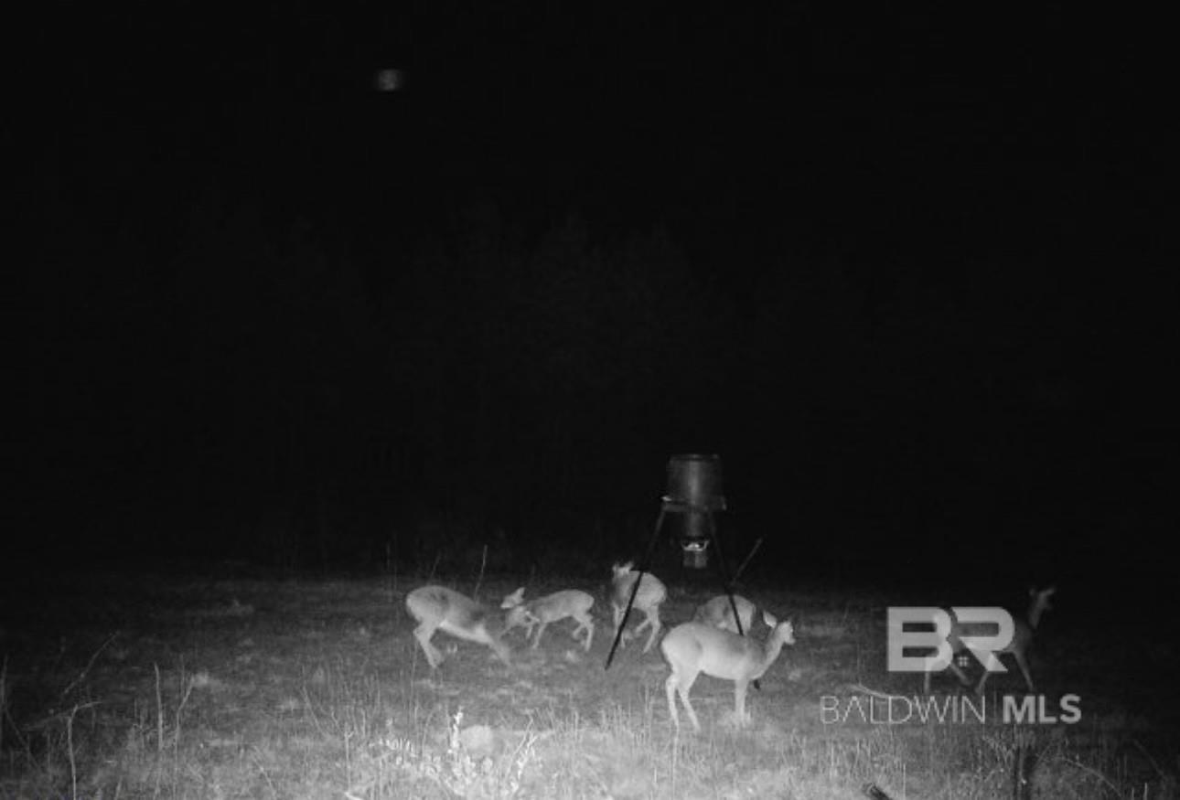 22544 Lechner Road, Robertsdale, AL, 36567