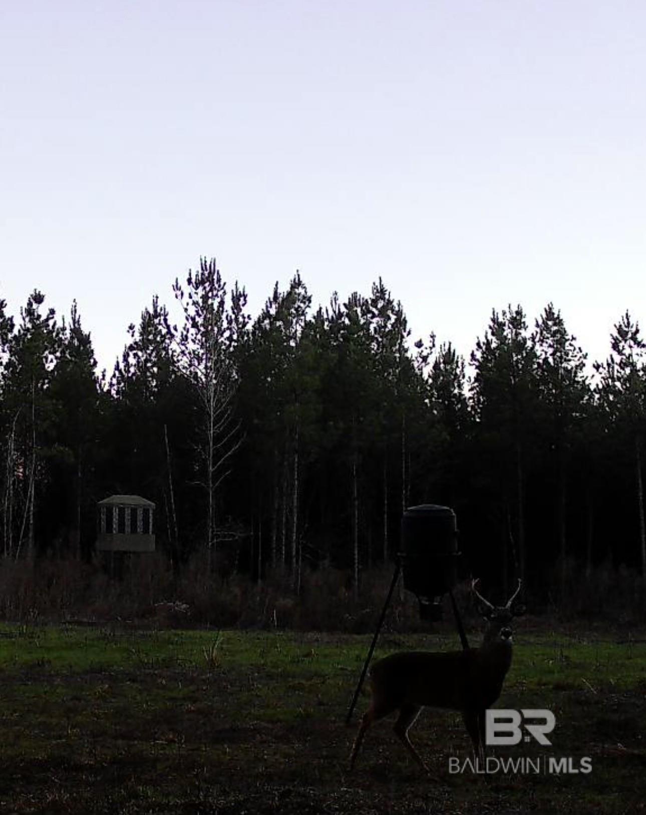 22544 Lechner Road, Robertsdale, AL, 36567