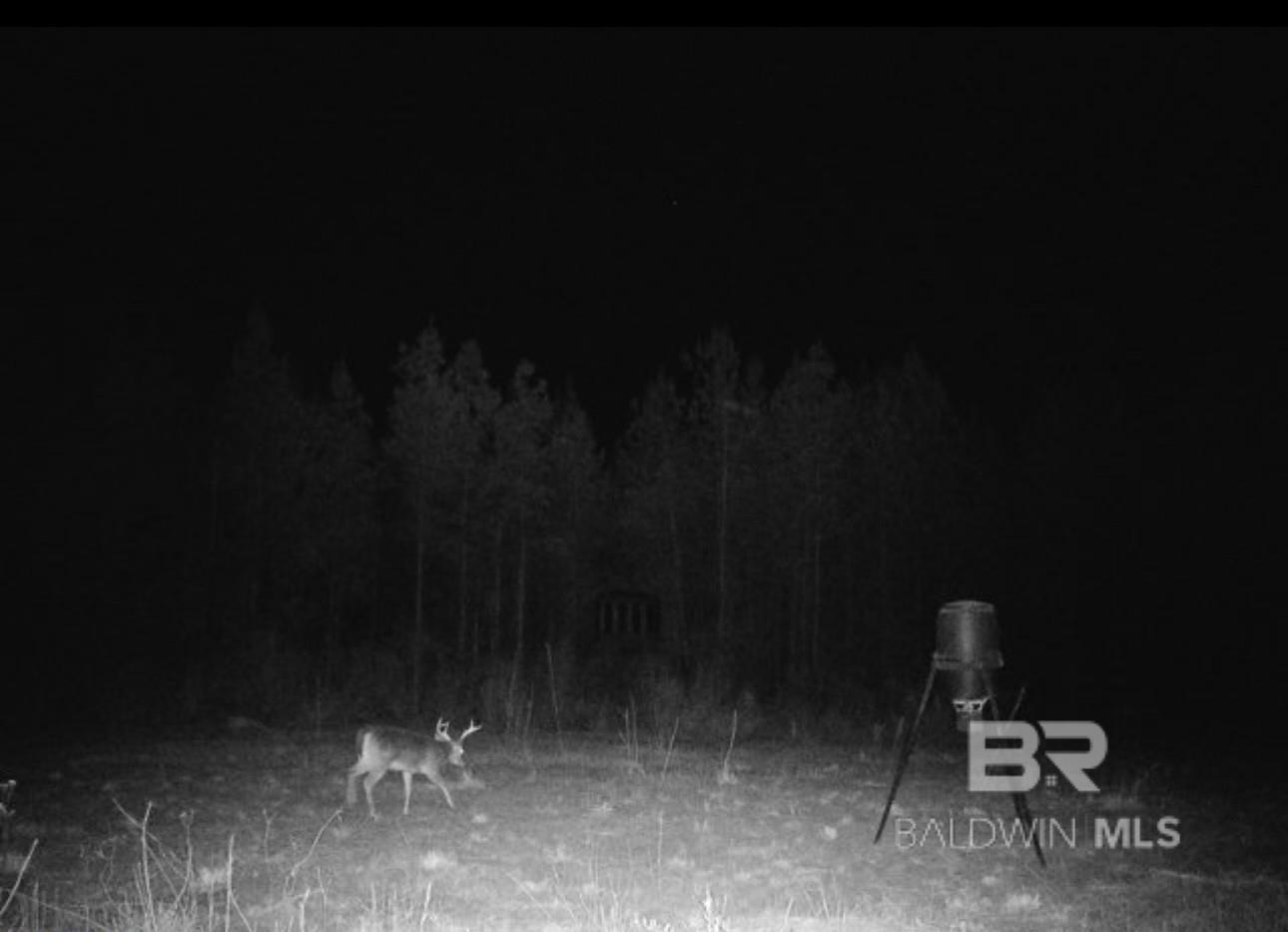 22544 Lechner Road, Robertsdale, AL, 36567