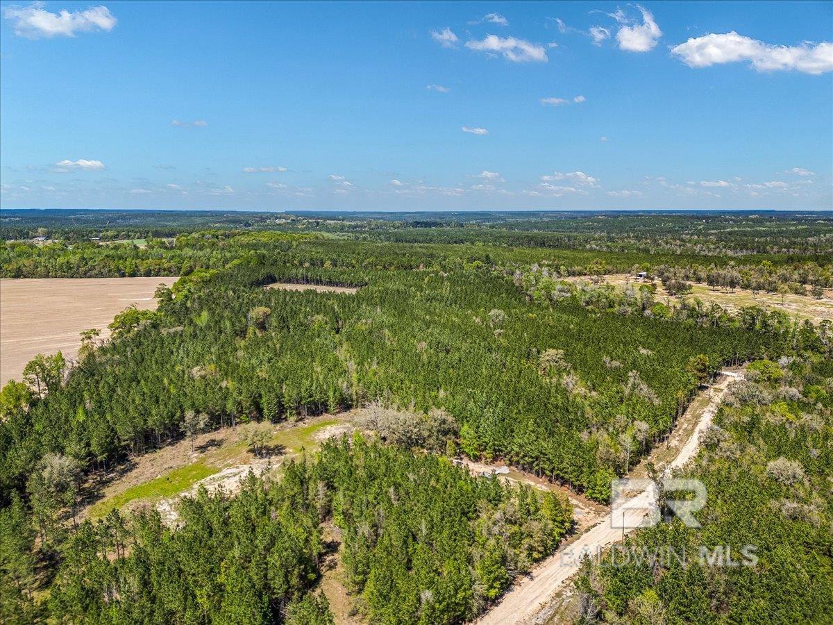 22544 Lechner Road, Robertsdale, AL, 36567