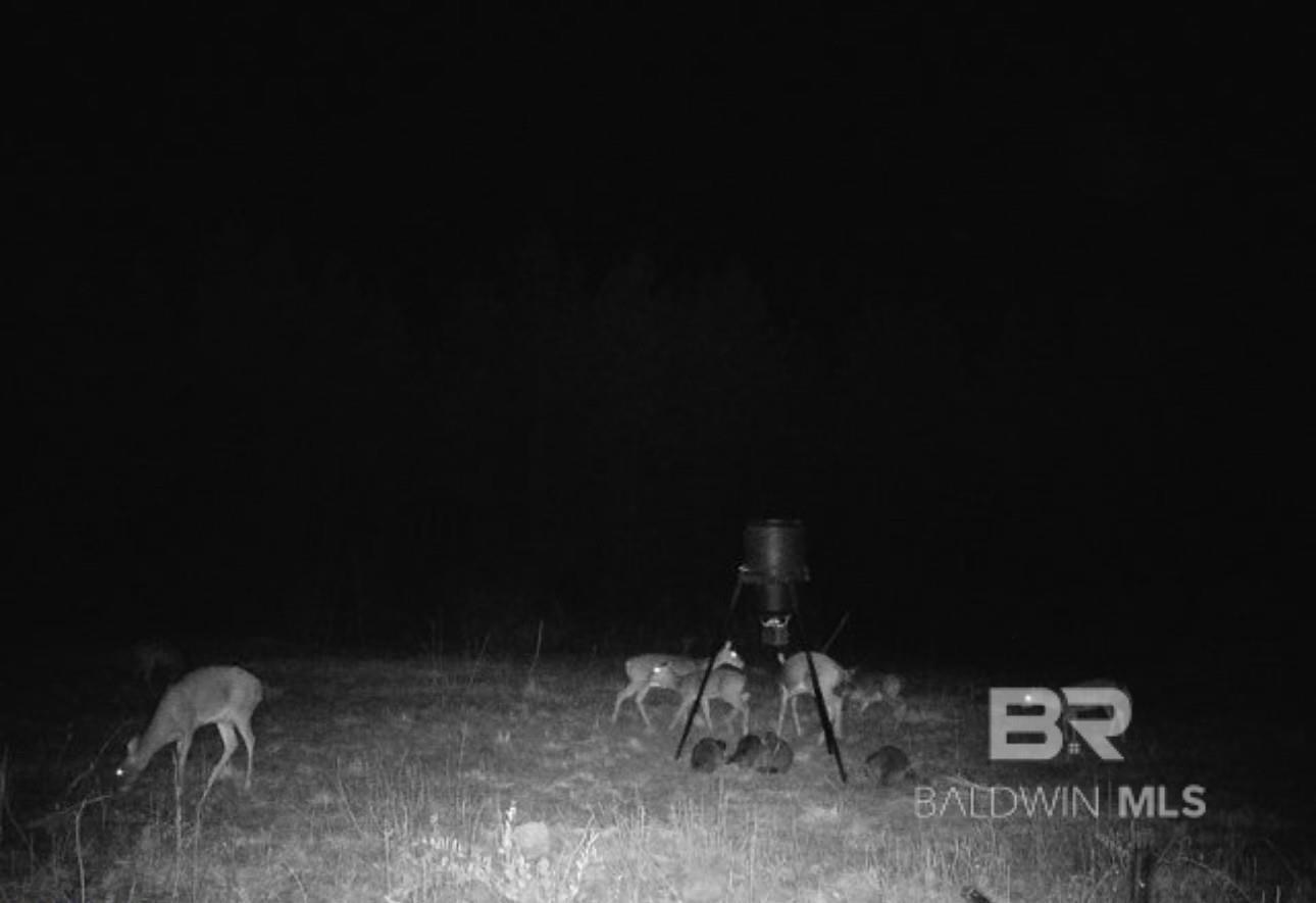 22544 Lechner Road, Robertsdale, AL, 36567