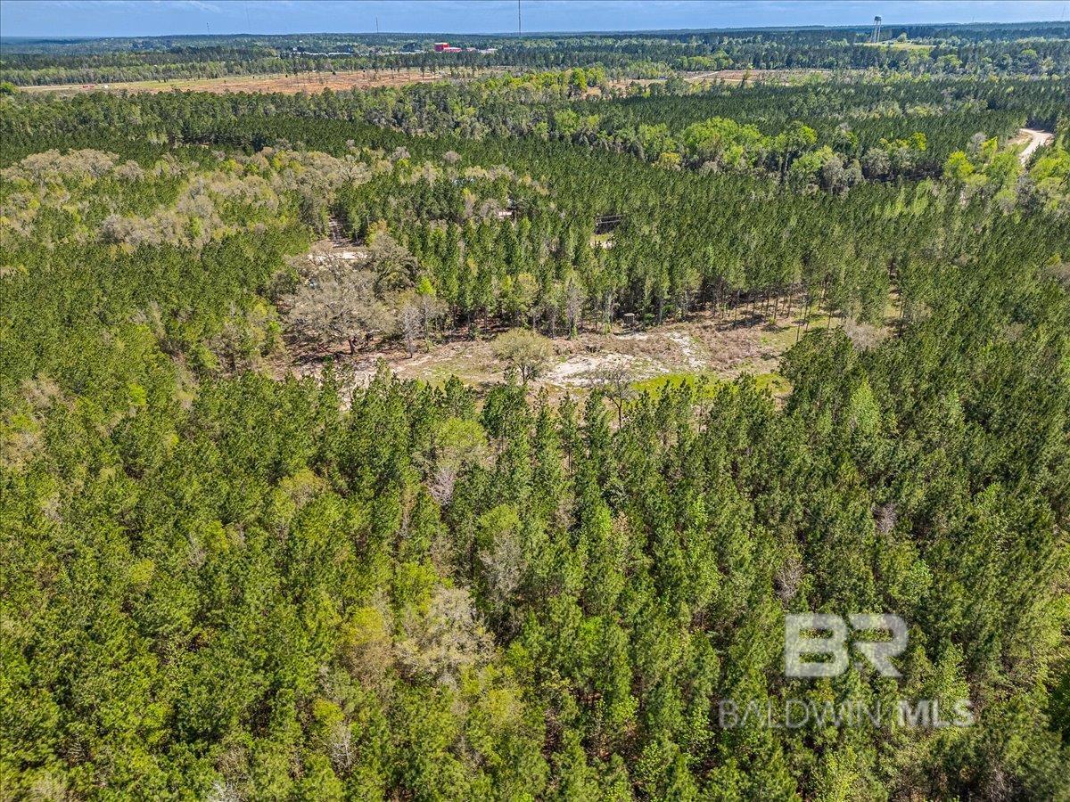 22544 Lechner Road, Robertsdale, AL, 36567