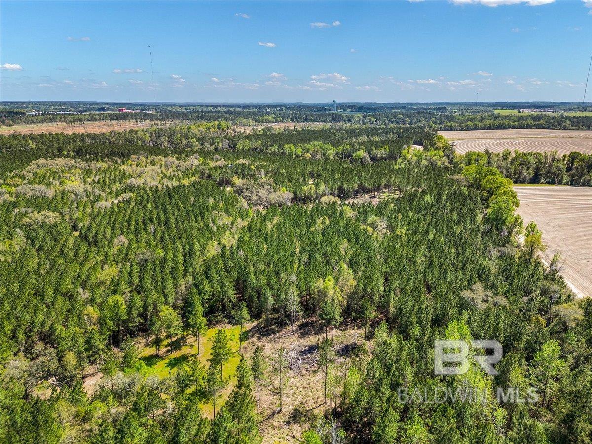 22544 Lechner Road, Robertsdale, AL, 36567