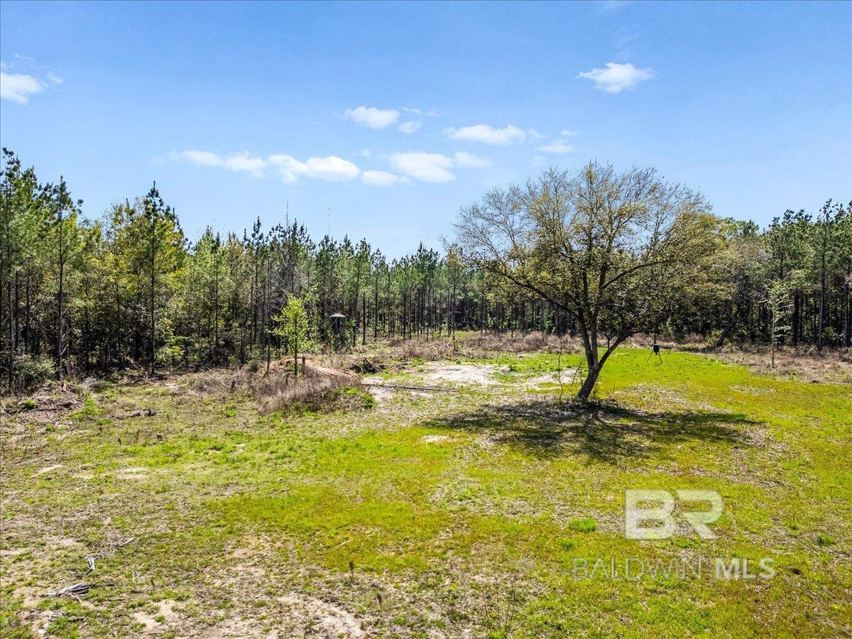 22544 Lechner Road, Robertsdale, AL, 36567