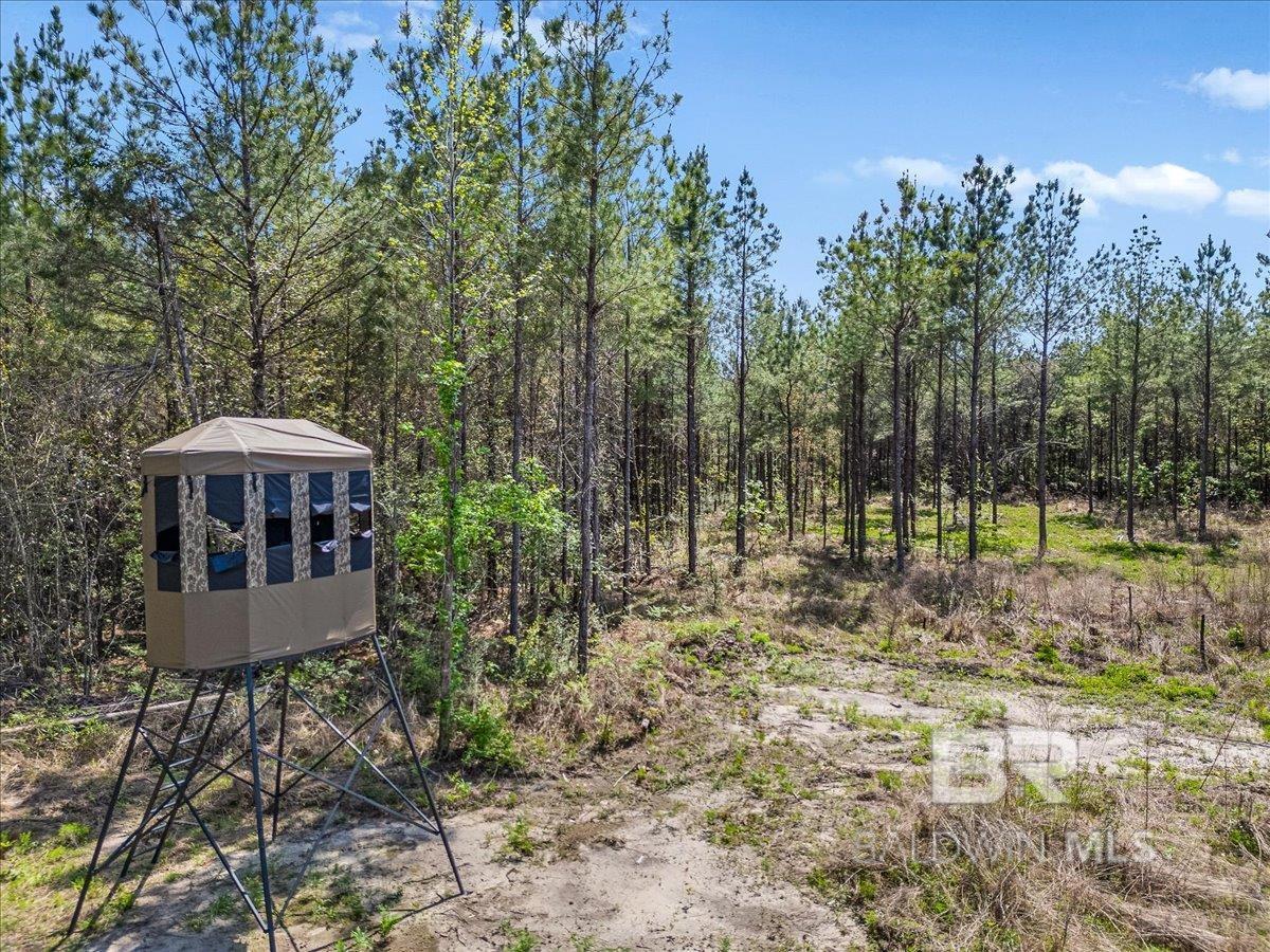 22544 Lechner Road, Robertsdale, AL, 36567