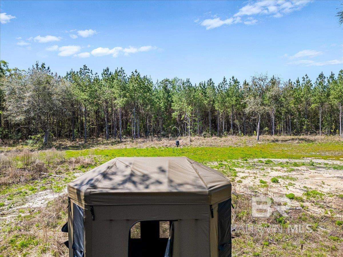 22544 Lechner Road, Robertsdale, AL, 36567