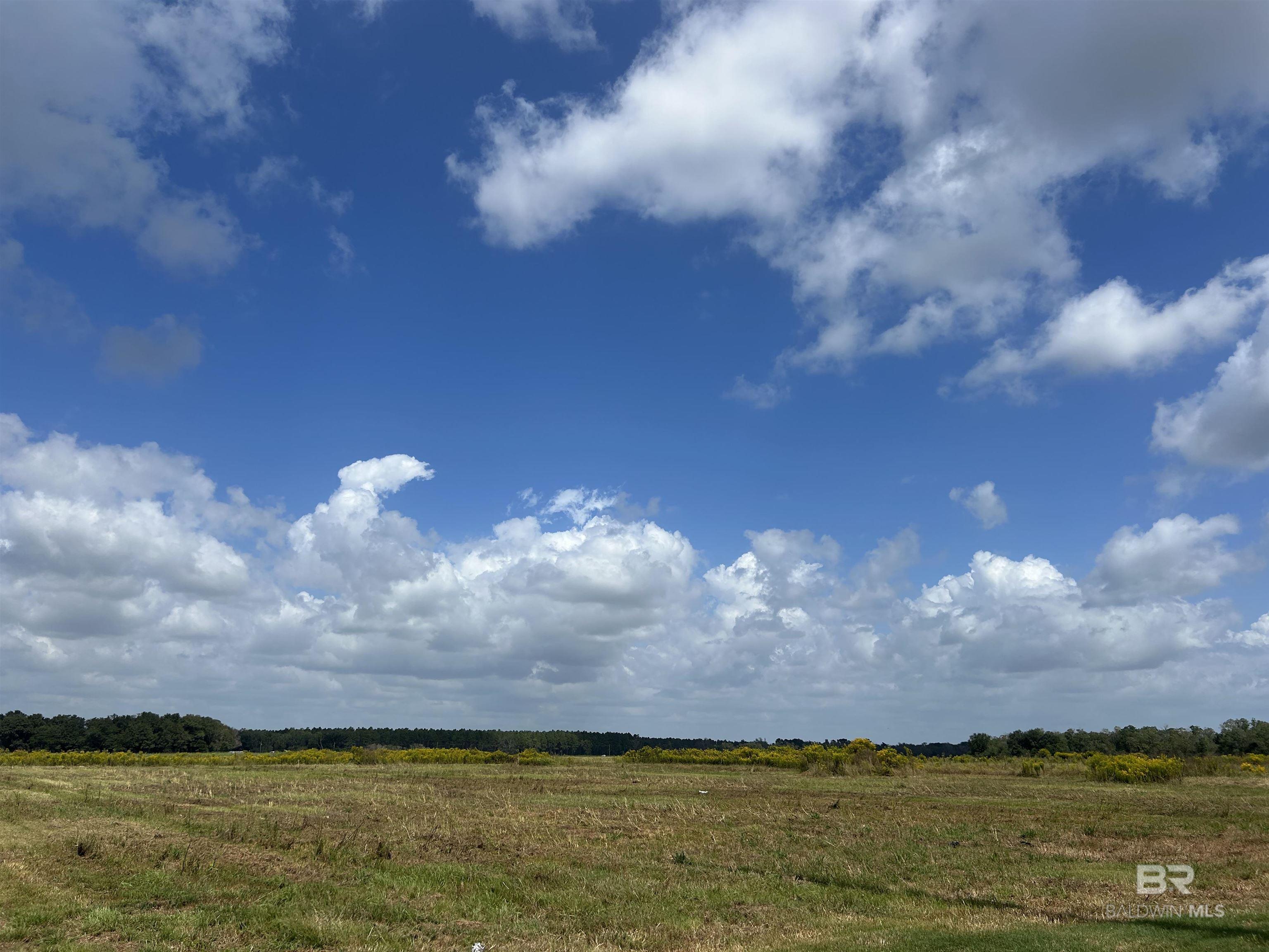 0 County Road 26, Foley, AL, 36525