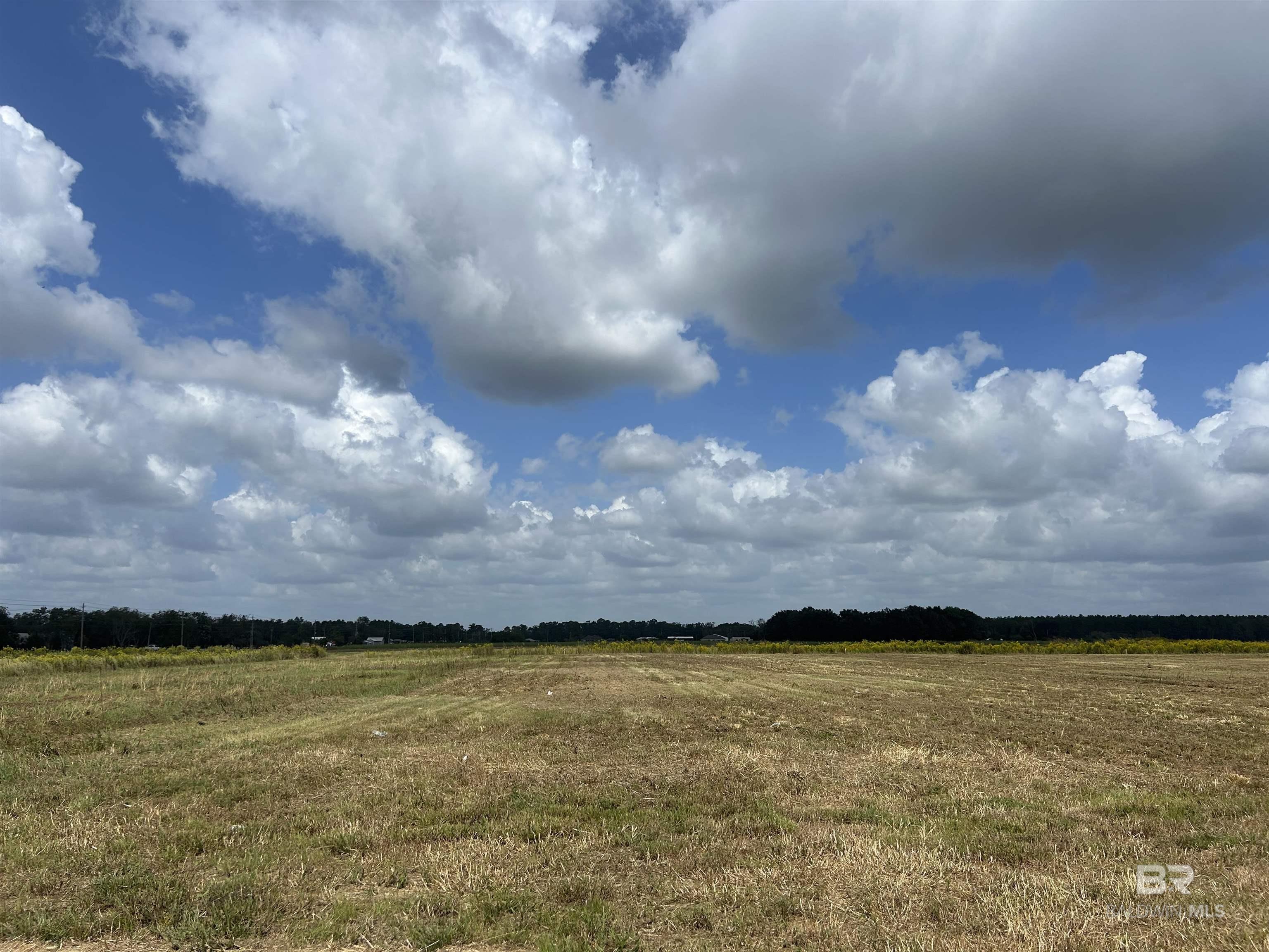 0 County Road 26, Foley, AL, 36525