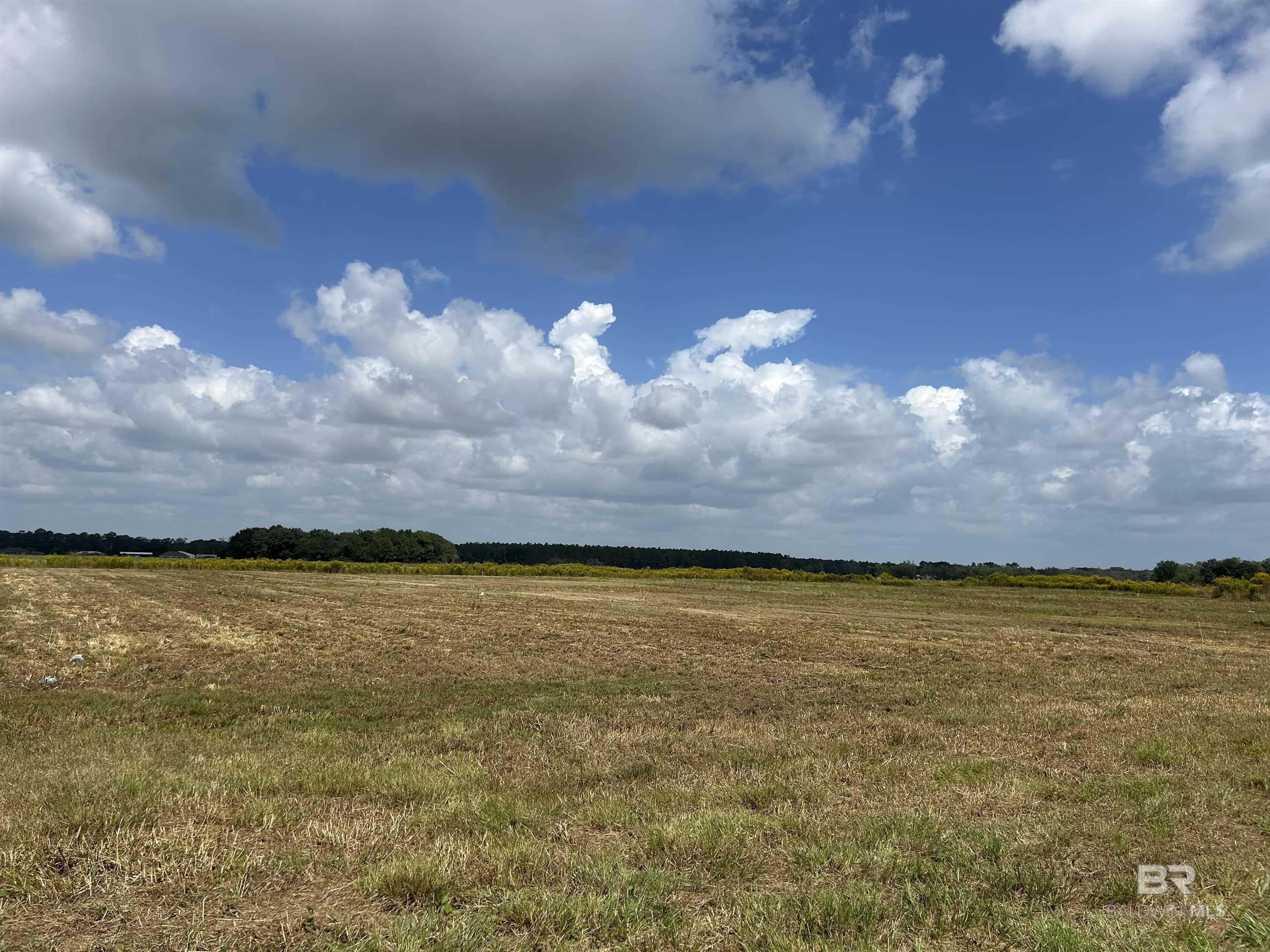 0 County Road 26, Foley, AL, 36525