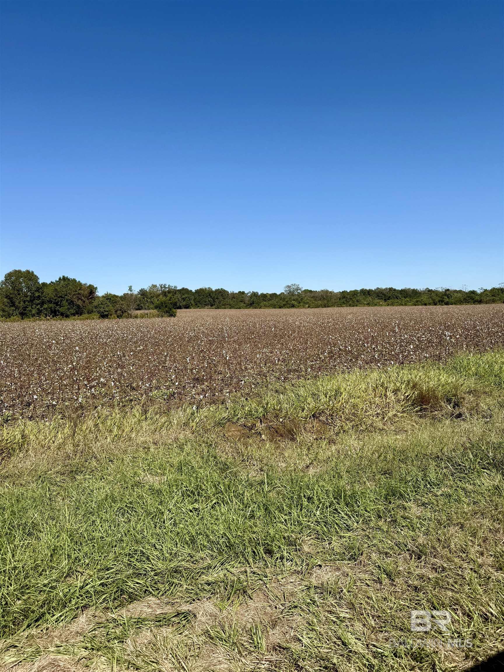 14.8 AC xx Campbell Road, Defuniak Springs, FL, 32435