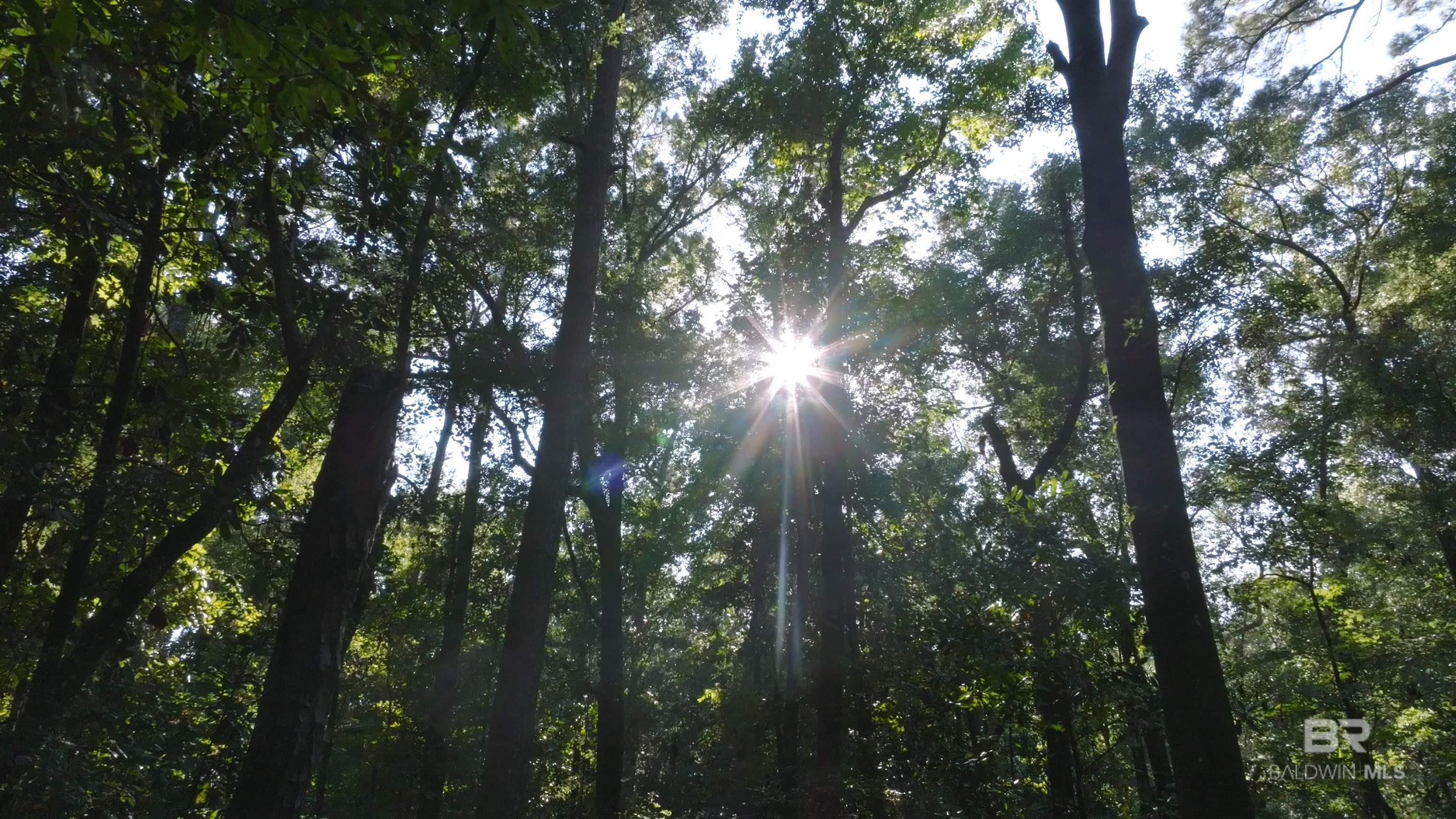 0 Old County Road, Daphne, AL, 36526-7160