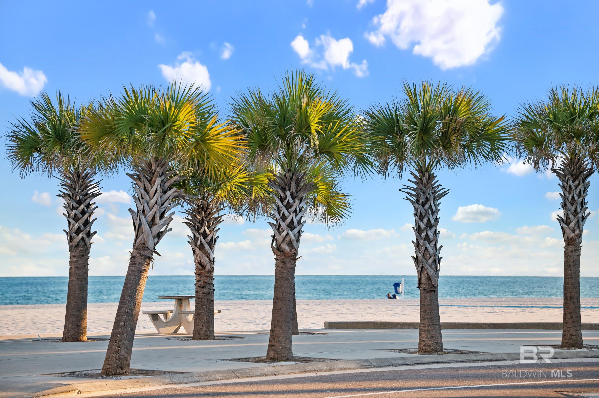 Homes for sale in Gulf Shores, AL | 200 E Beach Boulevard #220, Gulf Shores, AL 36542 | MLS# 387994