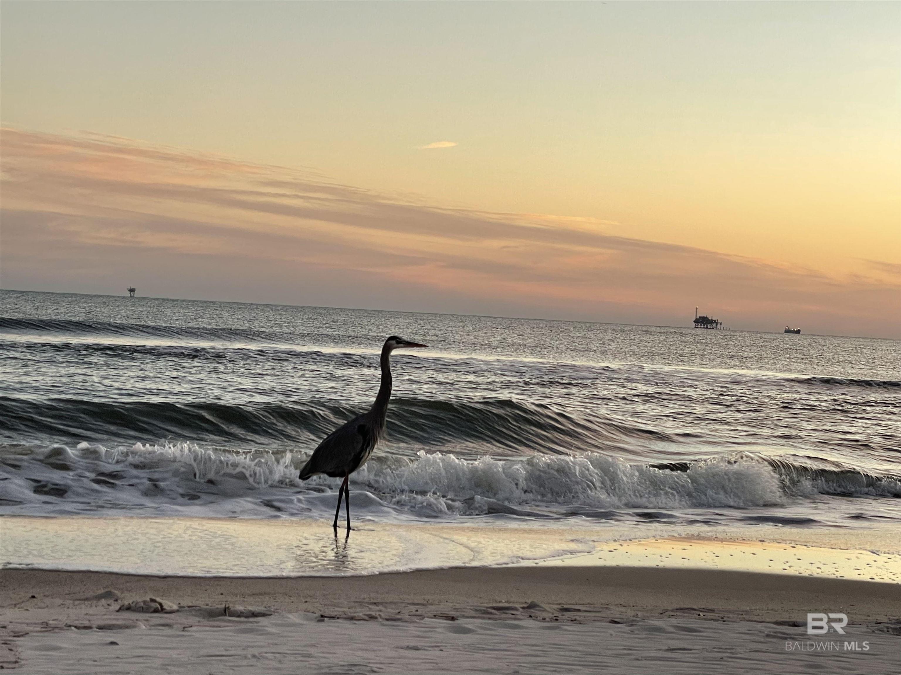 375 Beach Club Trail UNIT 1007, Gulf Shores, AL, 36542