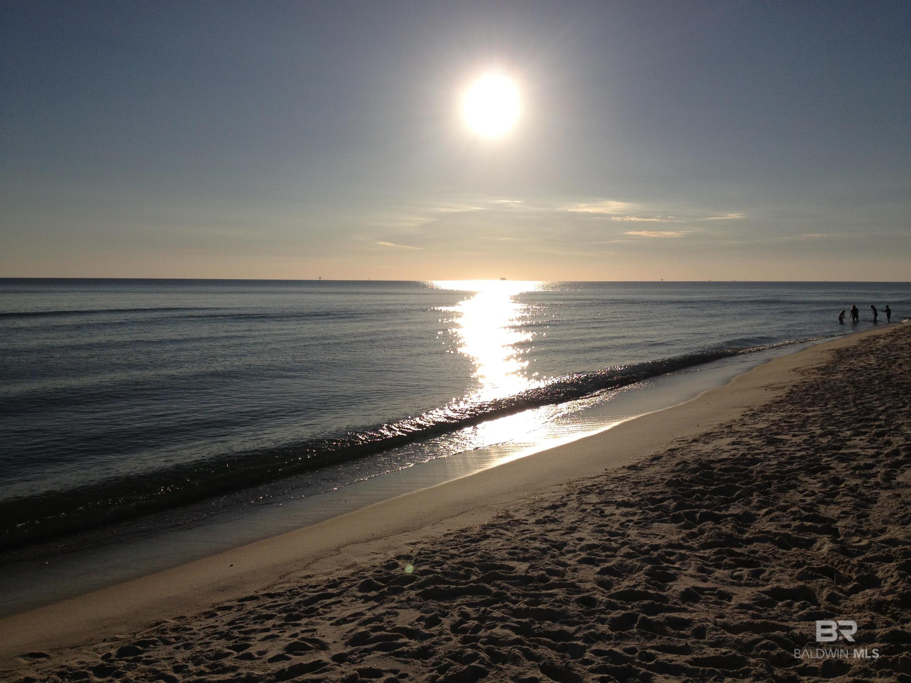 375 Beach Club Trail UNIT 1007, Gulf Shores, AL, 36542