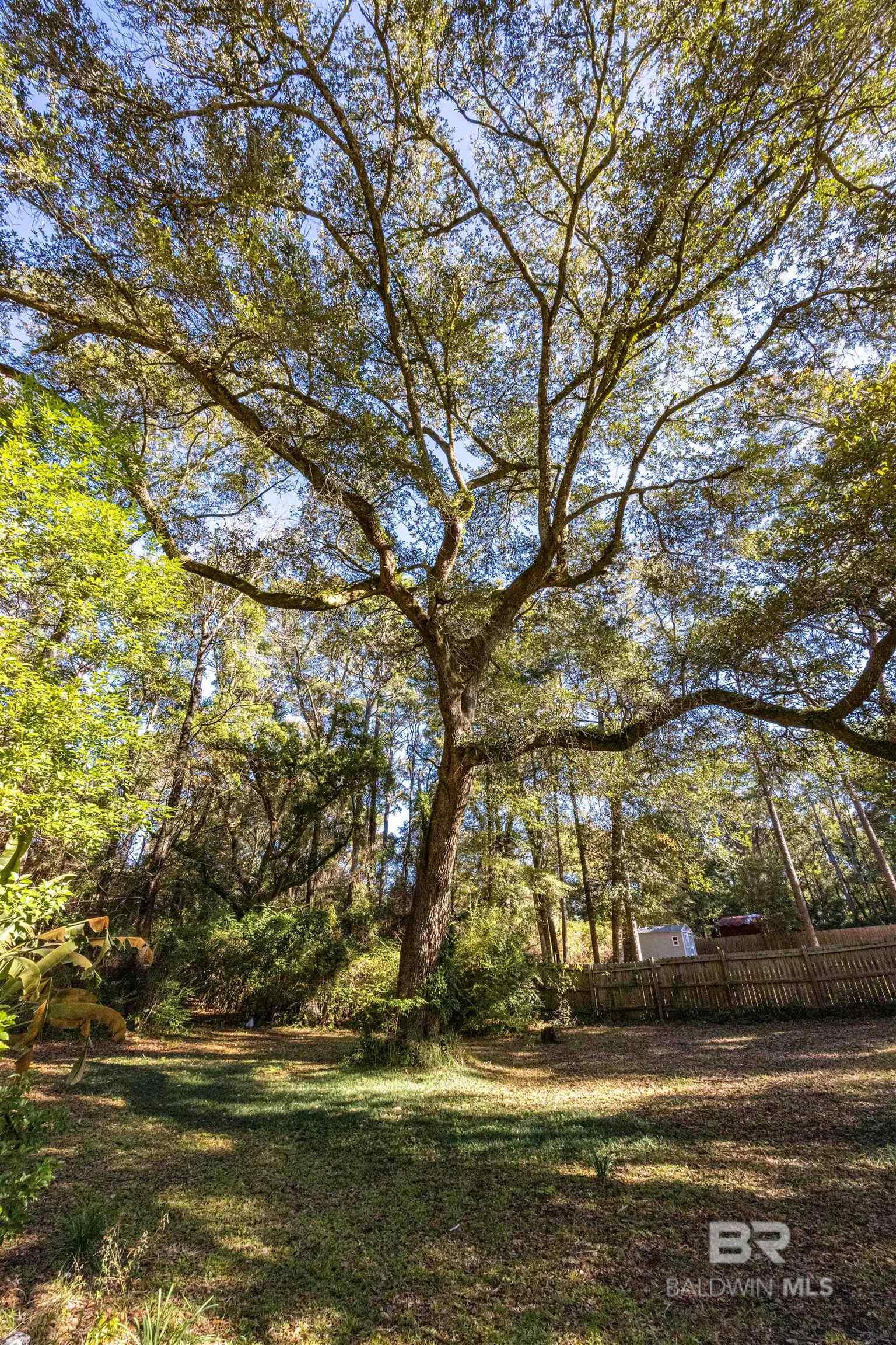 1109 Caroline Avenue, Daphne, AL, 36526