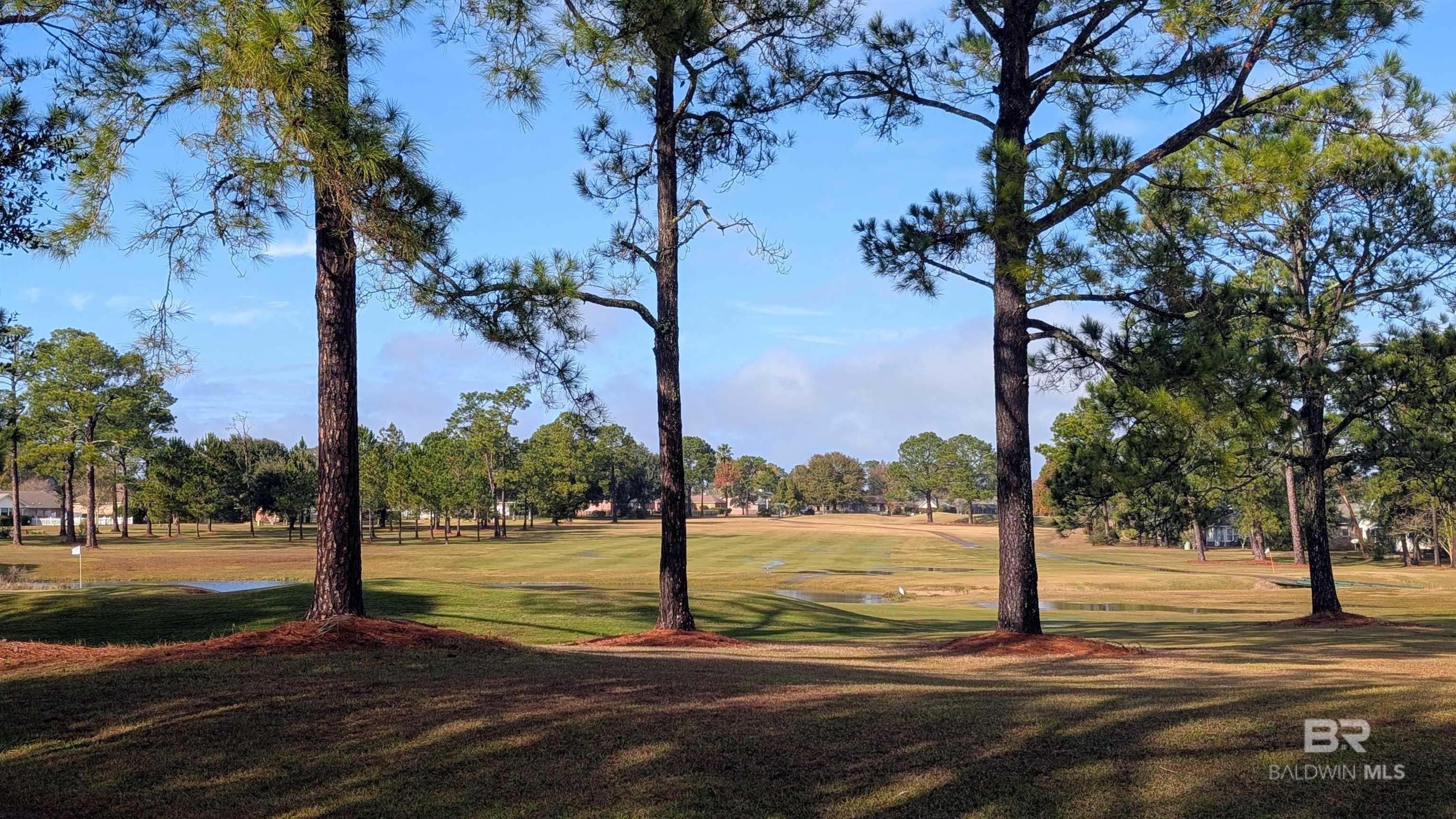 9168 Clubhouse Drive, Foley, AL, 36535
