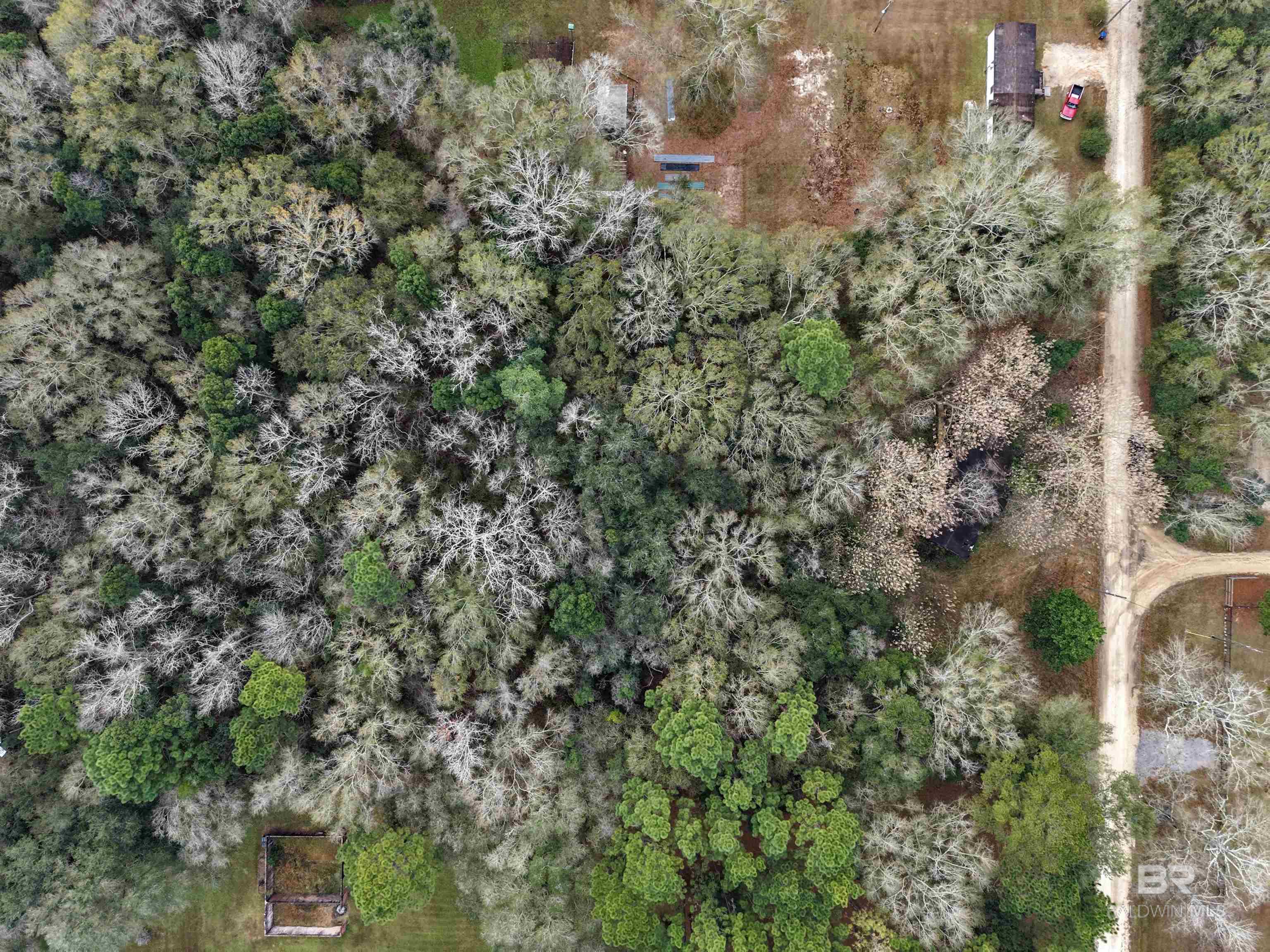 Grand Bay, AL, 36541