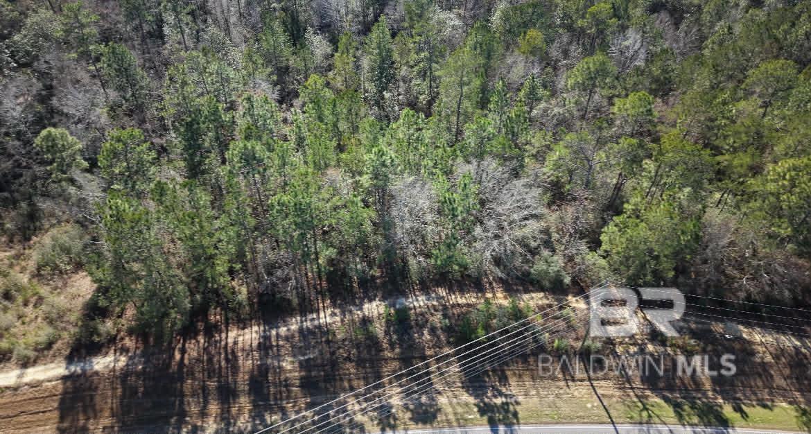 Commercial Property for Sale - Spanish Fort