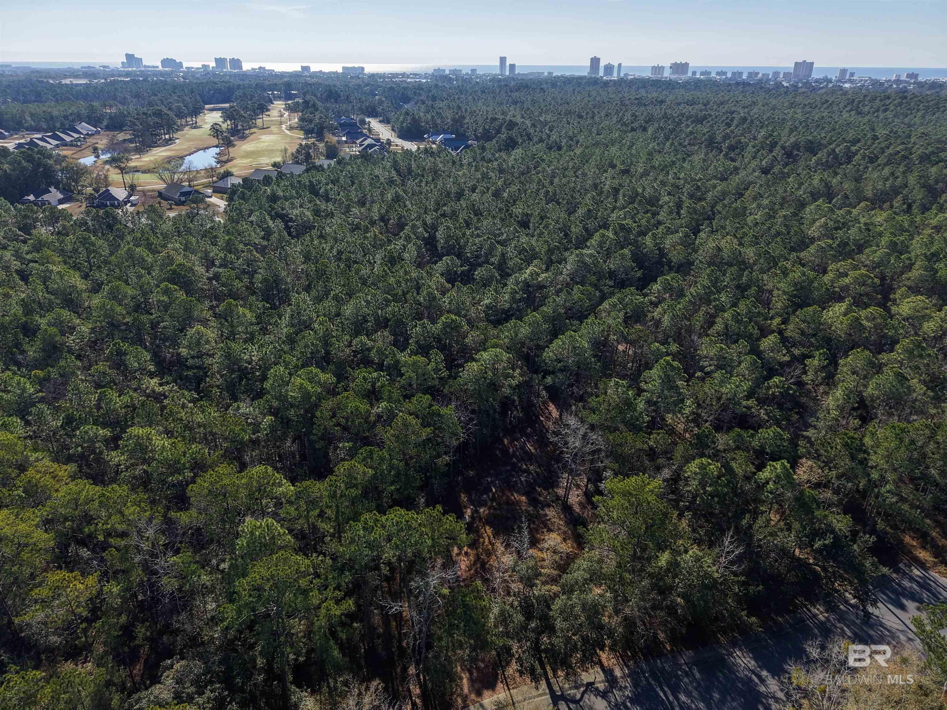 805 Mossy Oak Drive, Gulf Shores, AL, 36542