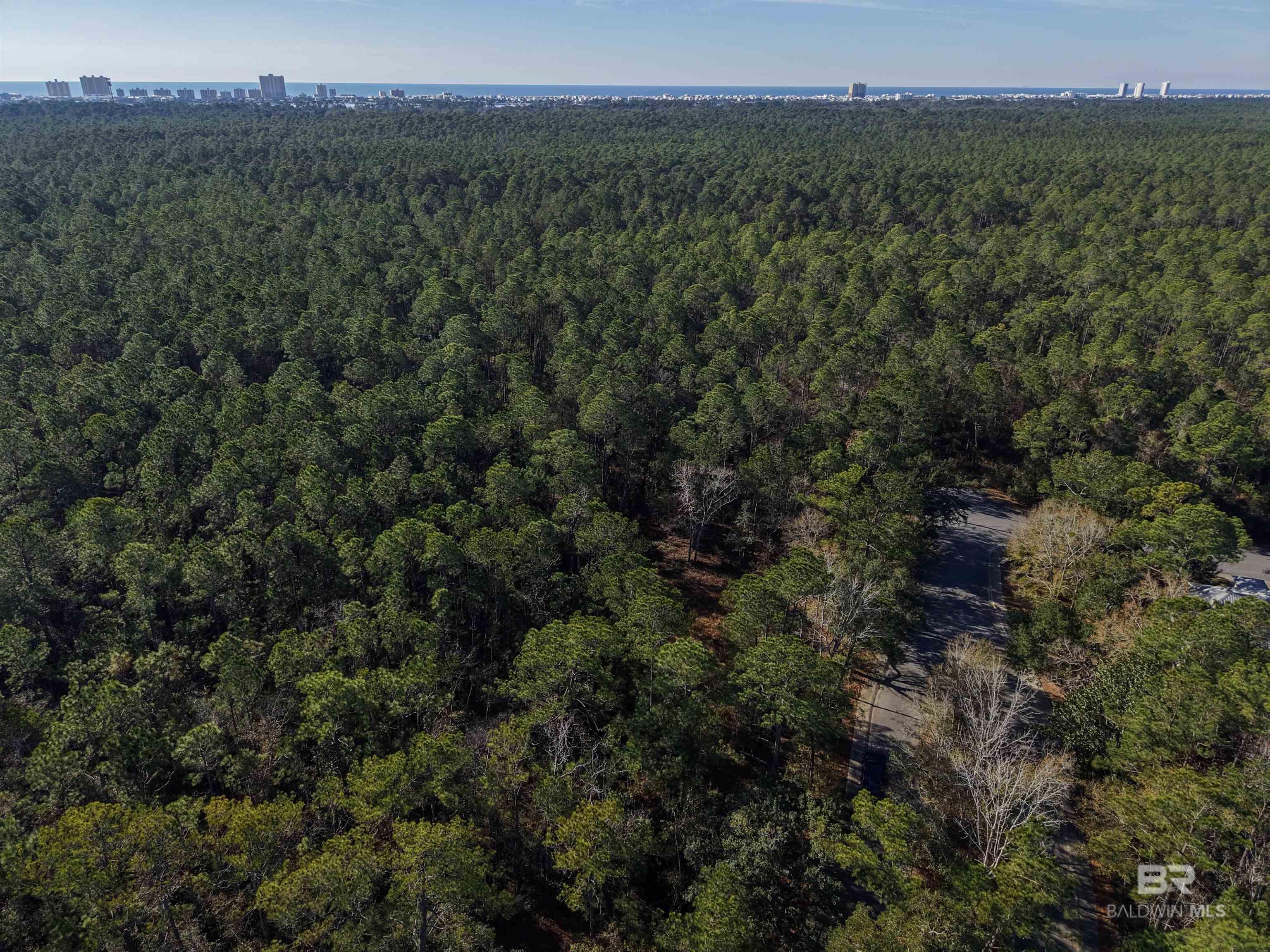 805 Mossy Oak Drive, Gulf Shores, AL, 36542