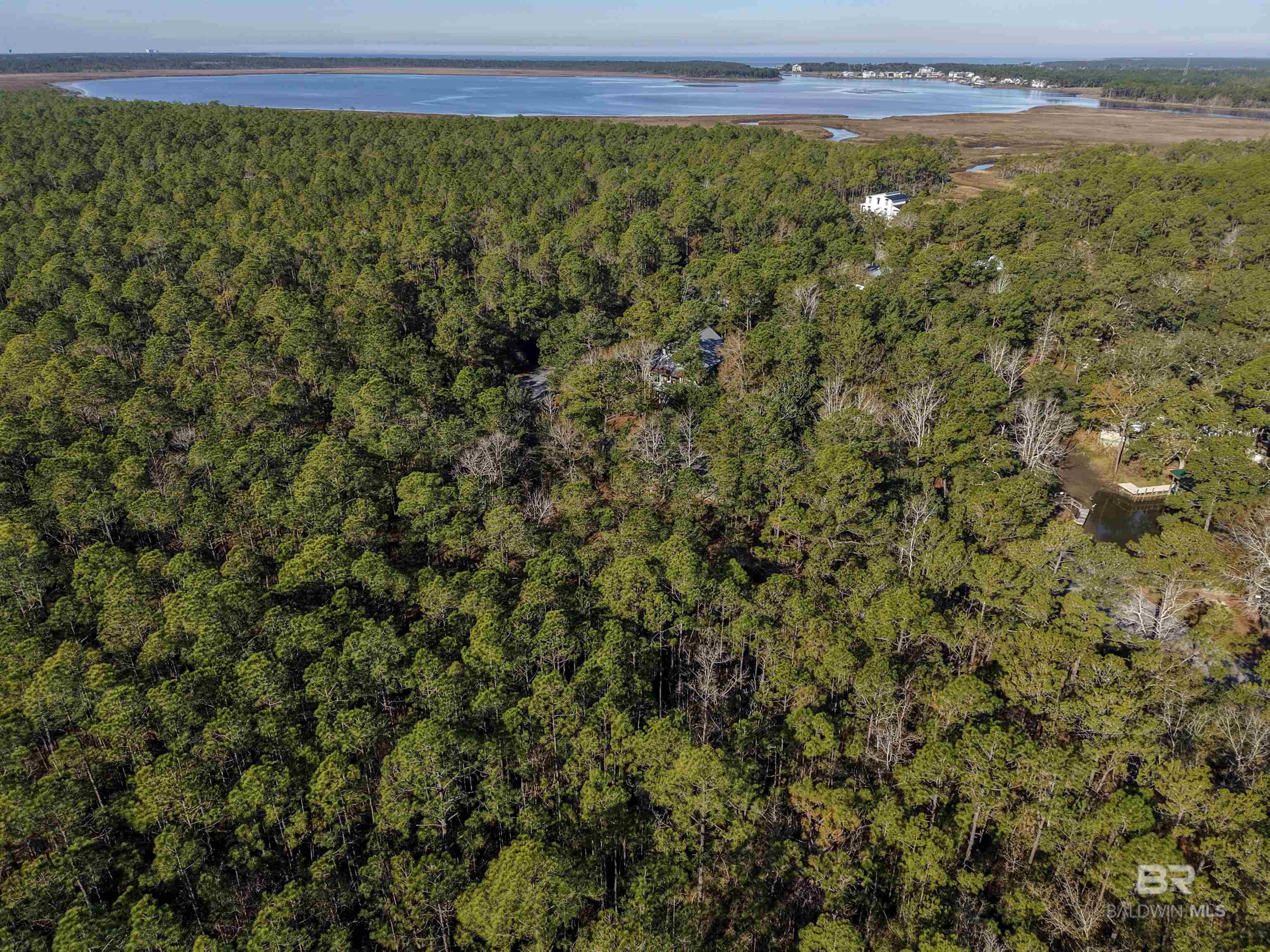 805 Mossy Oak Drive, Gulf Shores, AL, 36542