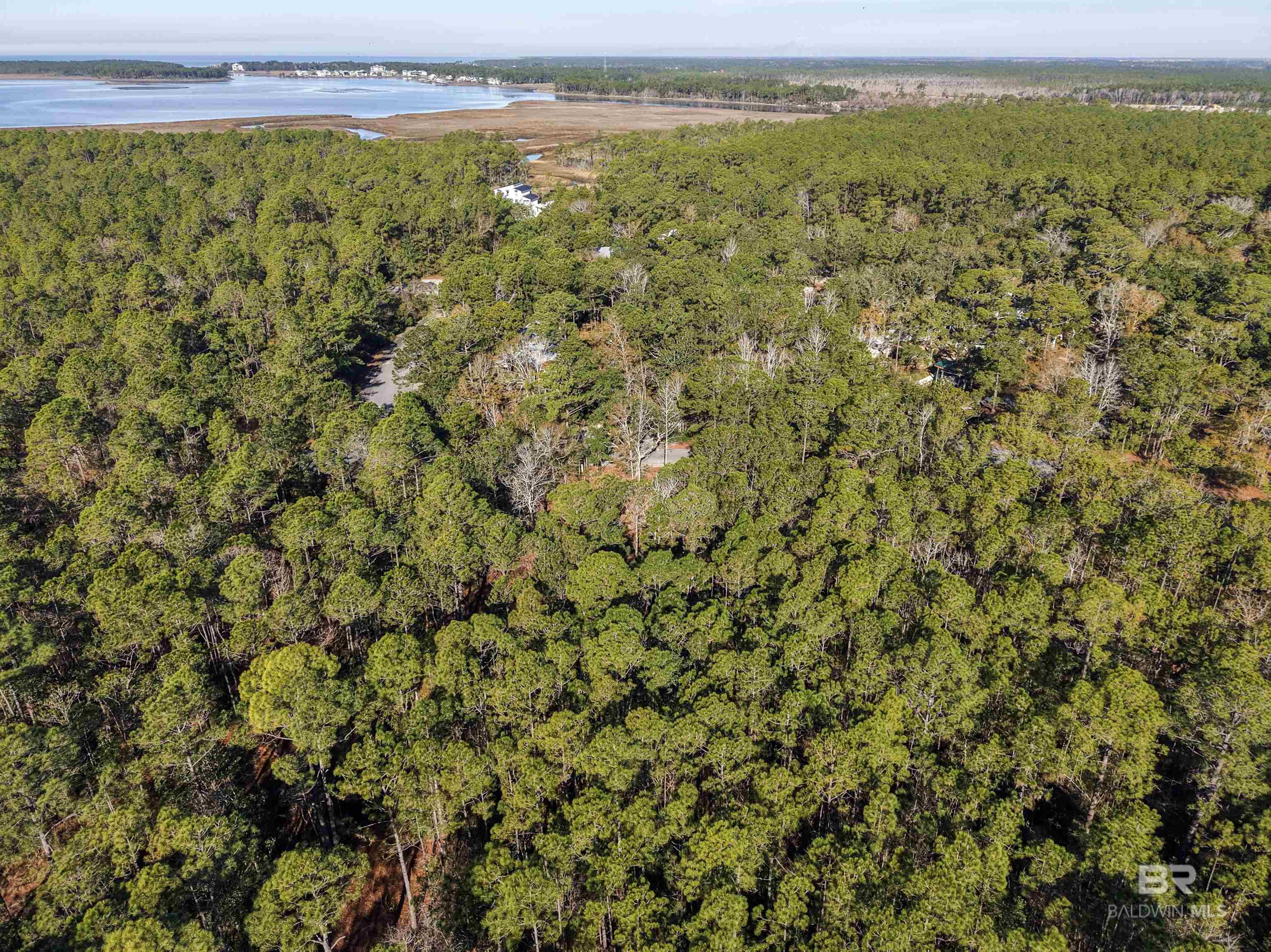 805 Mossy Oak Drive, Gulf Shores, AL, 36542