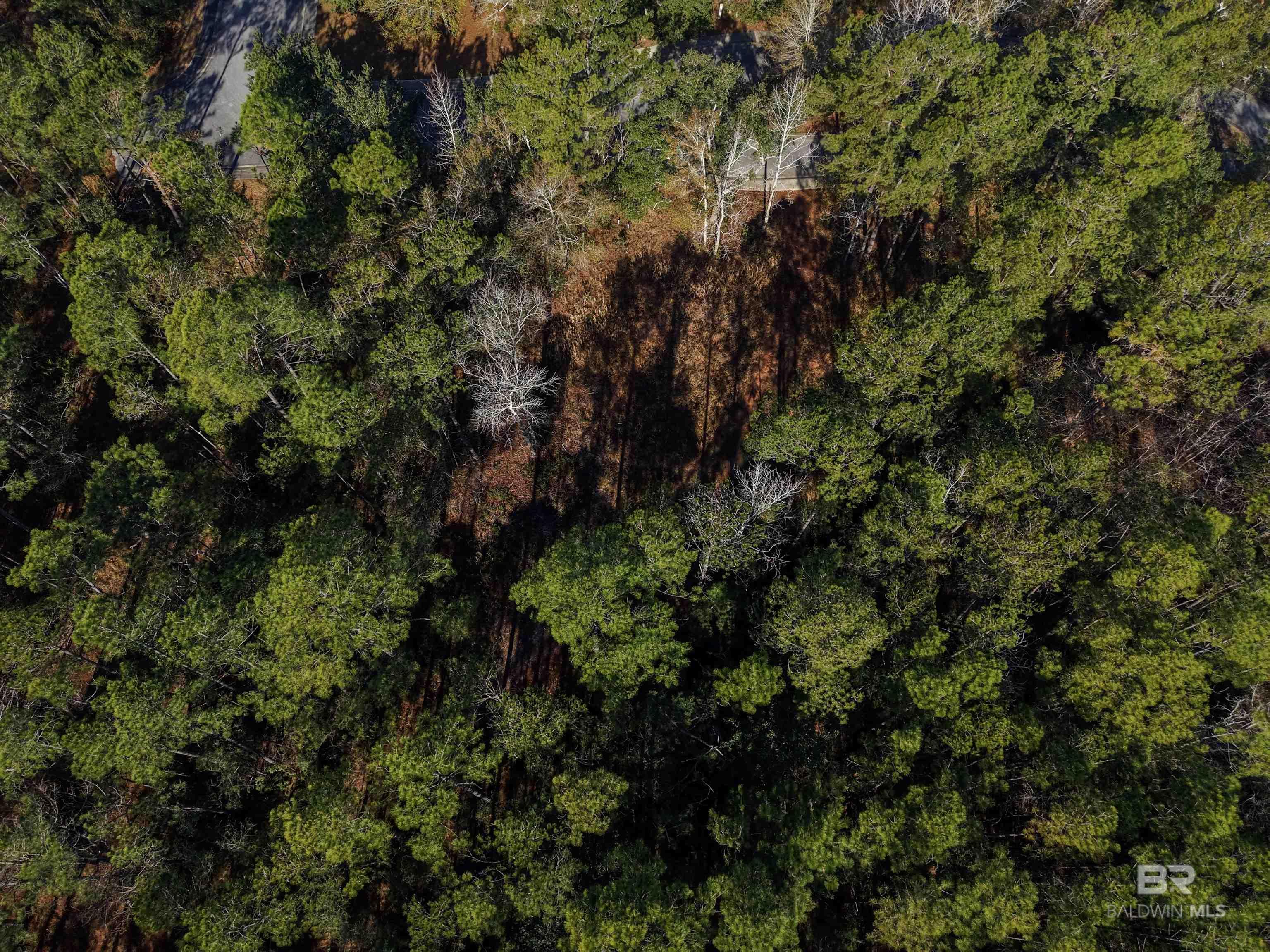 805 Mossy Oak Drive, Gulf Shores, AL, 36542