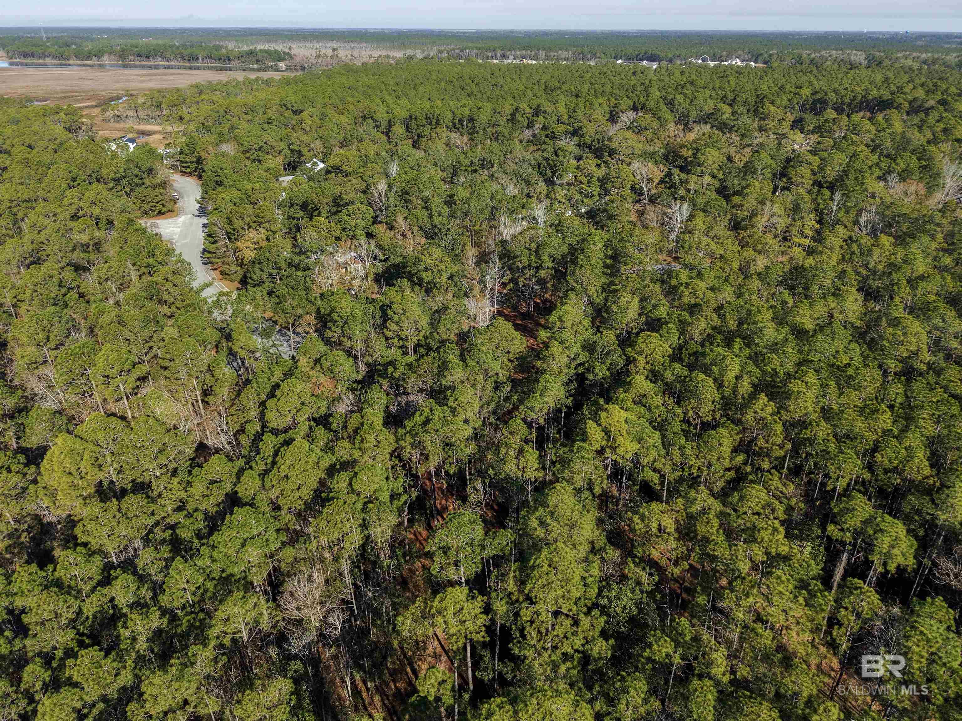 805 Mossy Oak Drive, Gulf Shores, AL, 36542