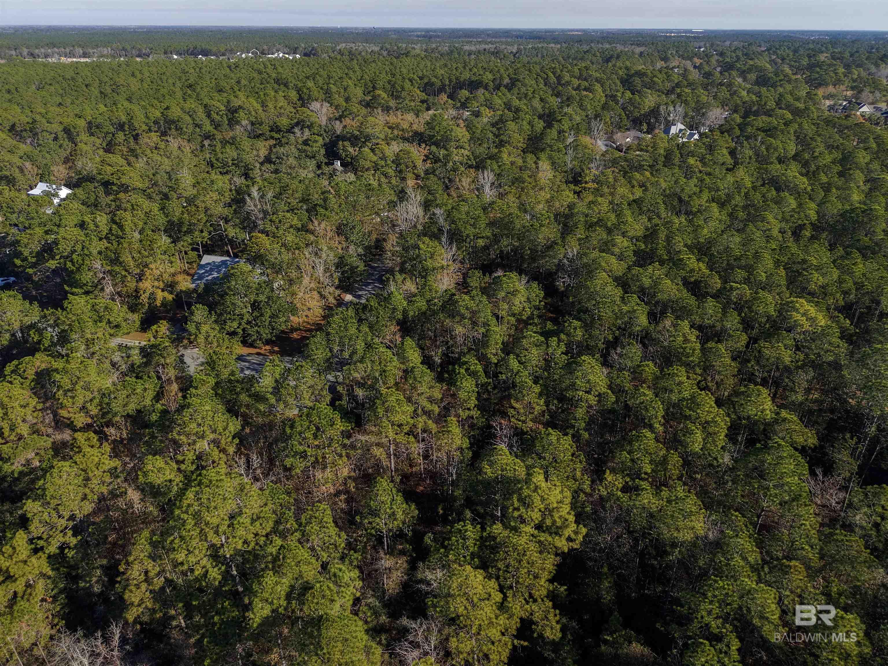 805 Mossy Oak Drive, Gulf Shores, AL, 36542