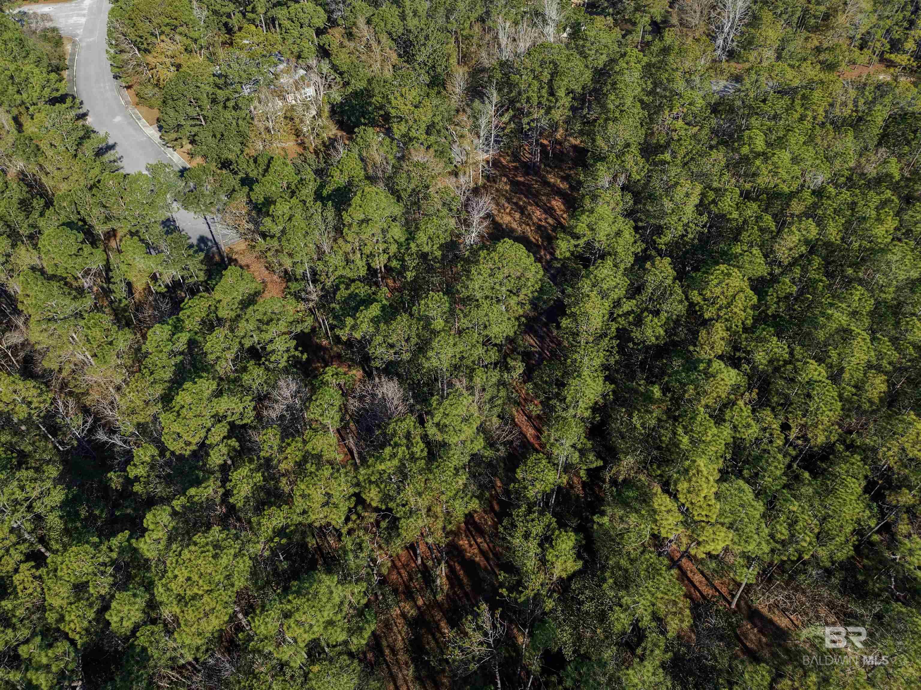 805 Mossy Oak Drive, Gulf Shores, AL, 36542