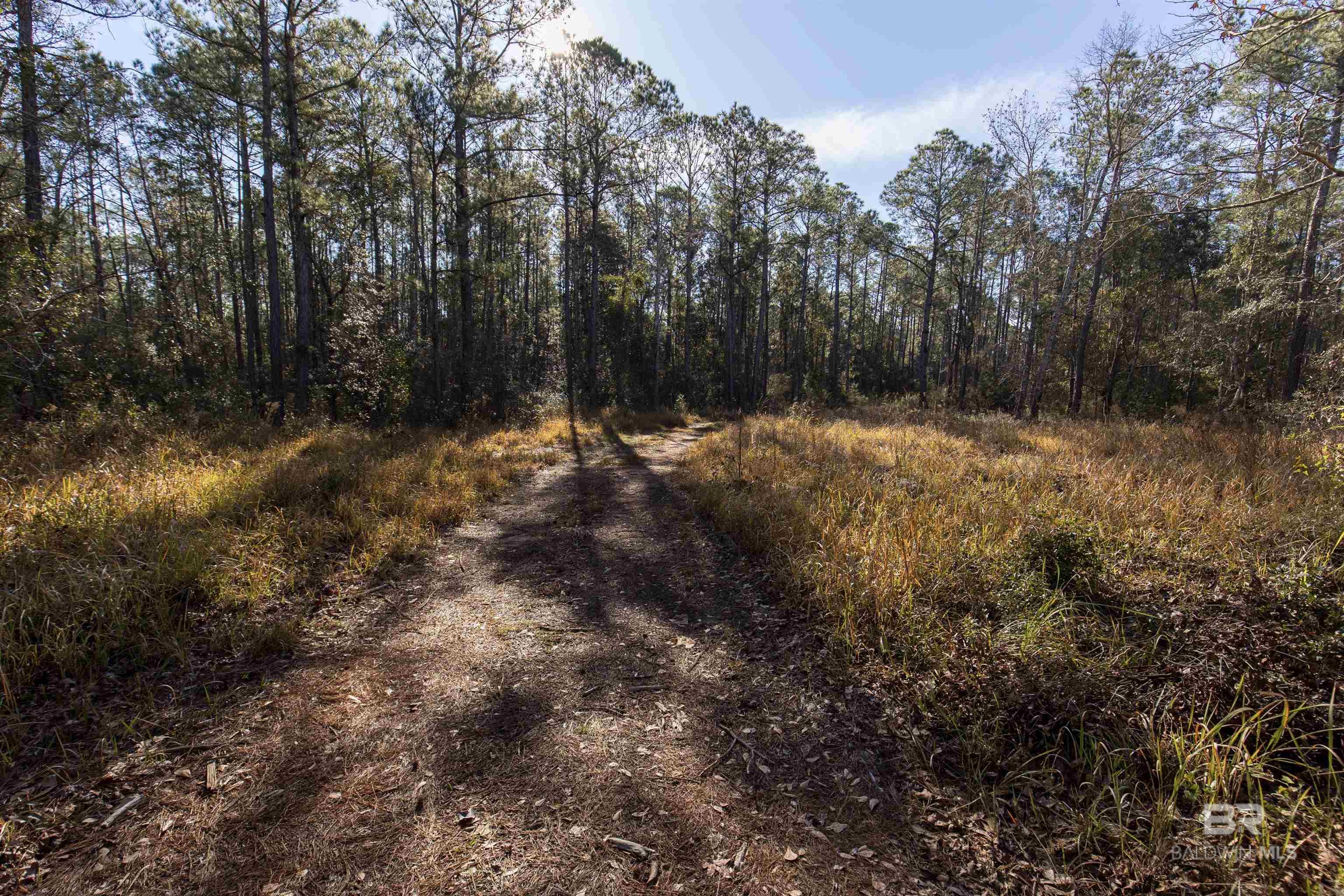 805 Mossy Oak Drive, Gulf Shores, AL, 36542