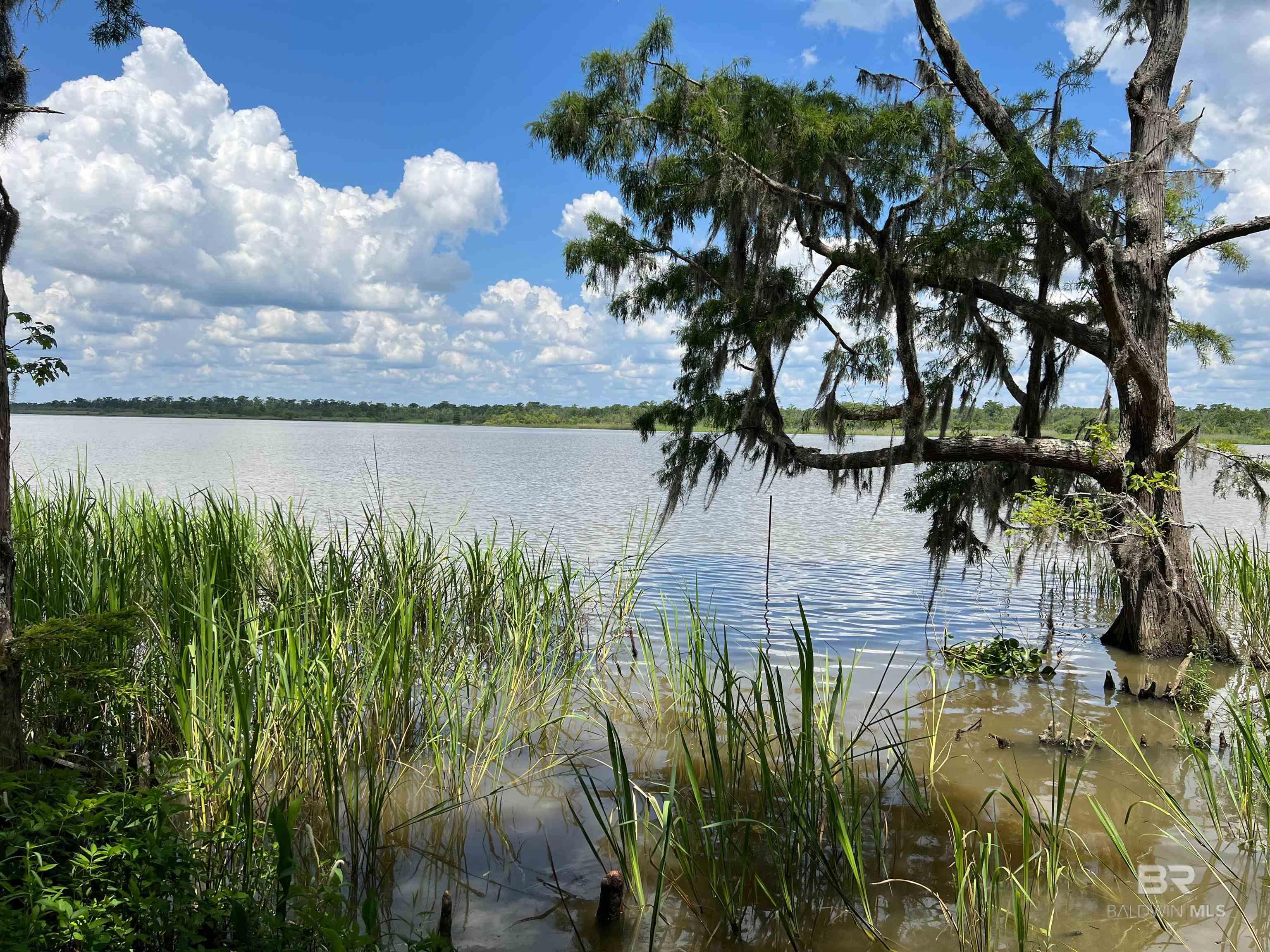 31655 Bramshell Drive, Spanish Fort, AL, 36527