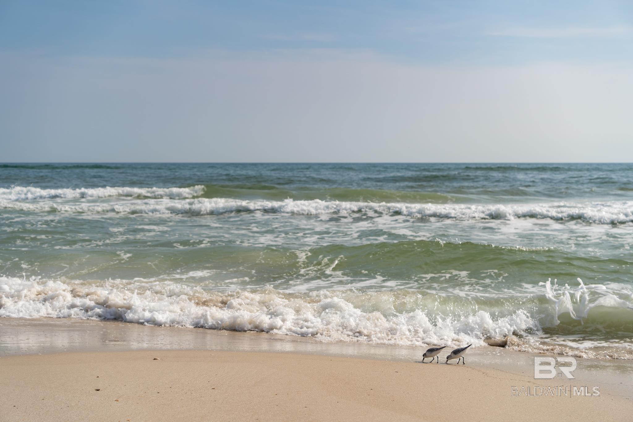 31655 Bramshell Drive, Spanish Fort, AL, 36527