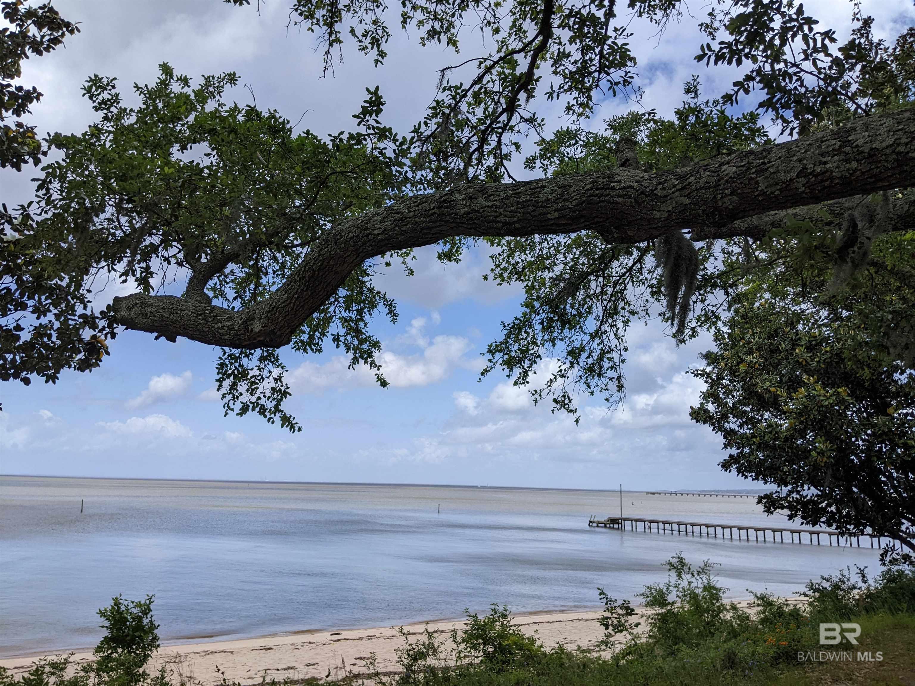 16173 Tigris Drive, Fairhope, AL, 36532