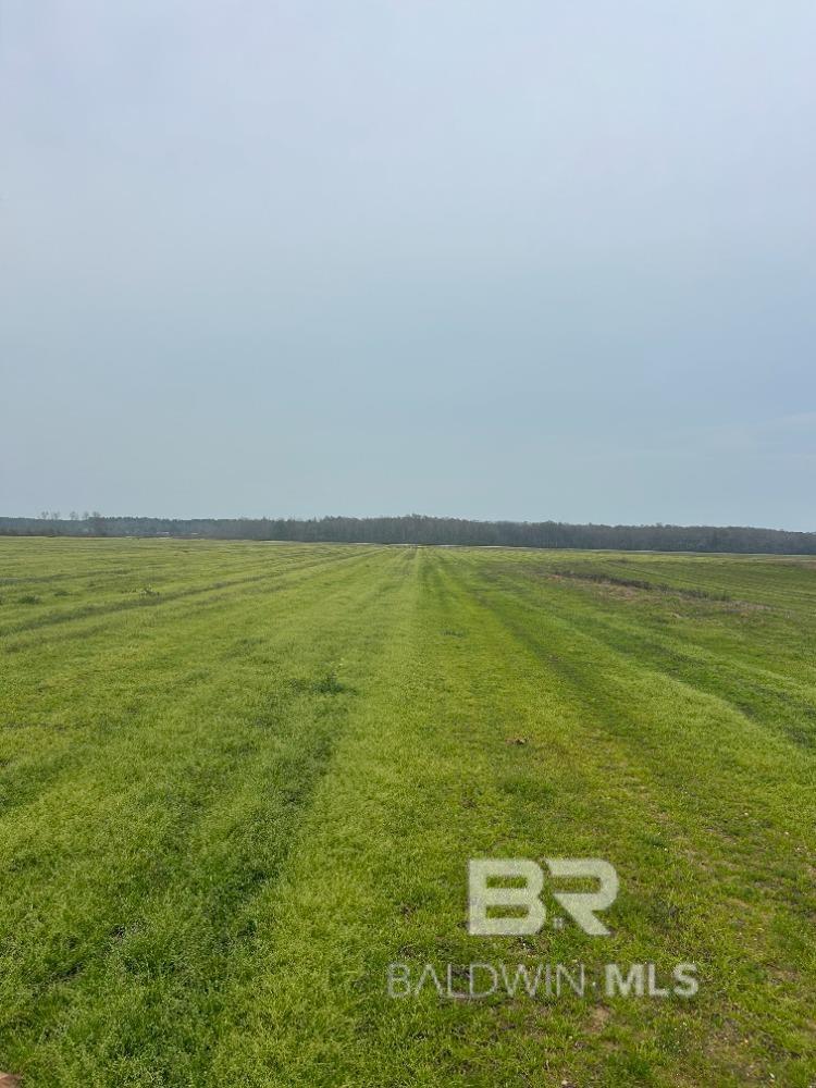 Condos for Sale in Quarters at Wolf Bay - Orange Beach AL